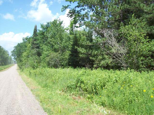 Tbd Mail Rte Road Prentice, WI 54556 - Photo 4 of 9 Gallery Image 4