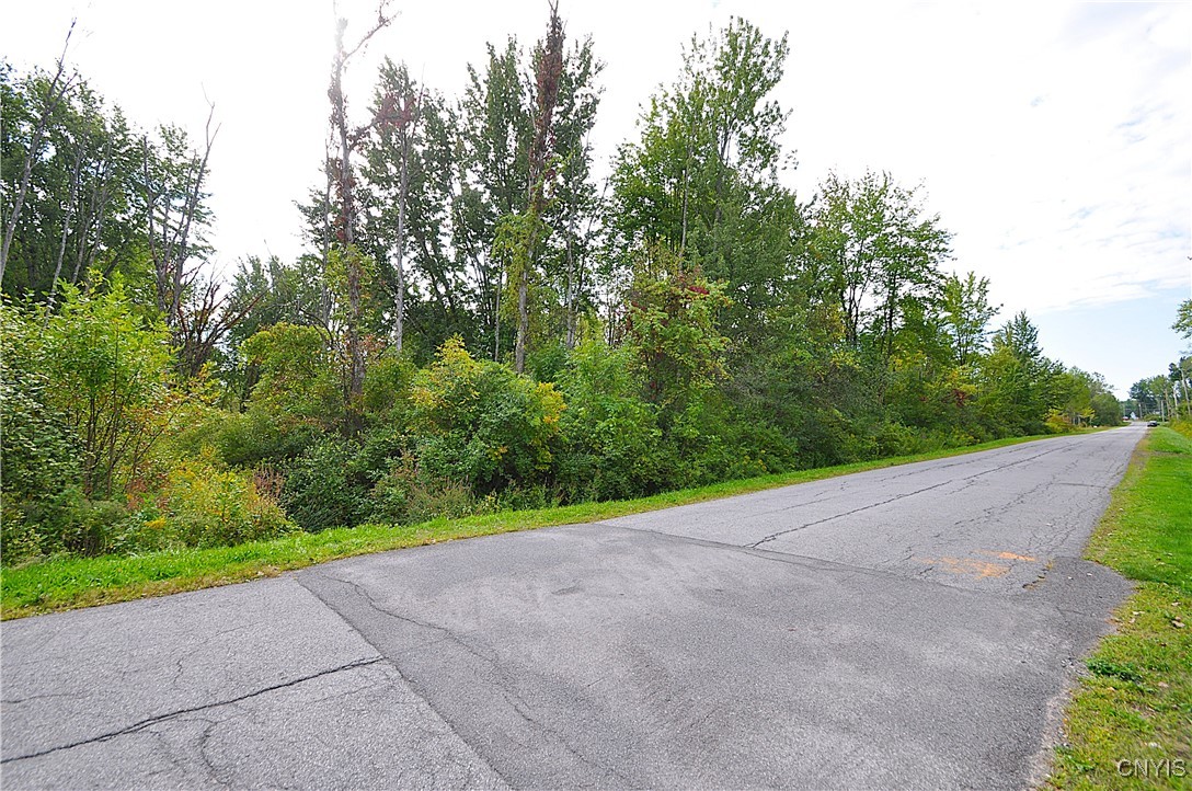 0 Lucas Road Bridgeport, NY 13030 - Photo 11 of 17