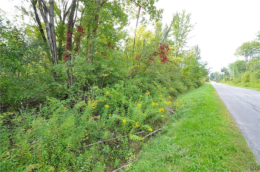 0 Lucas Road Bridgeport, NY 13030 - Photo 13 of 17