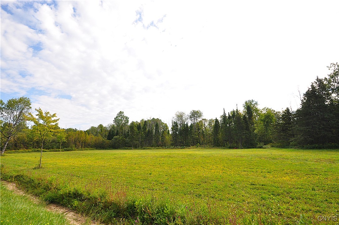 0 Lucas Road Bridgeport, NY 13030 - Photo 15 of 17