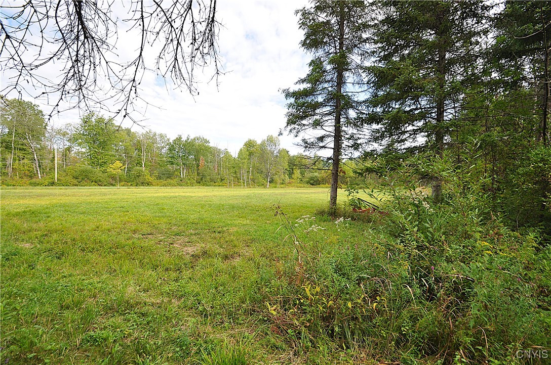 0 Lucas Road Bridgeport, NY 13030 - Photo 6 of 17