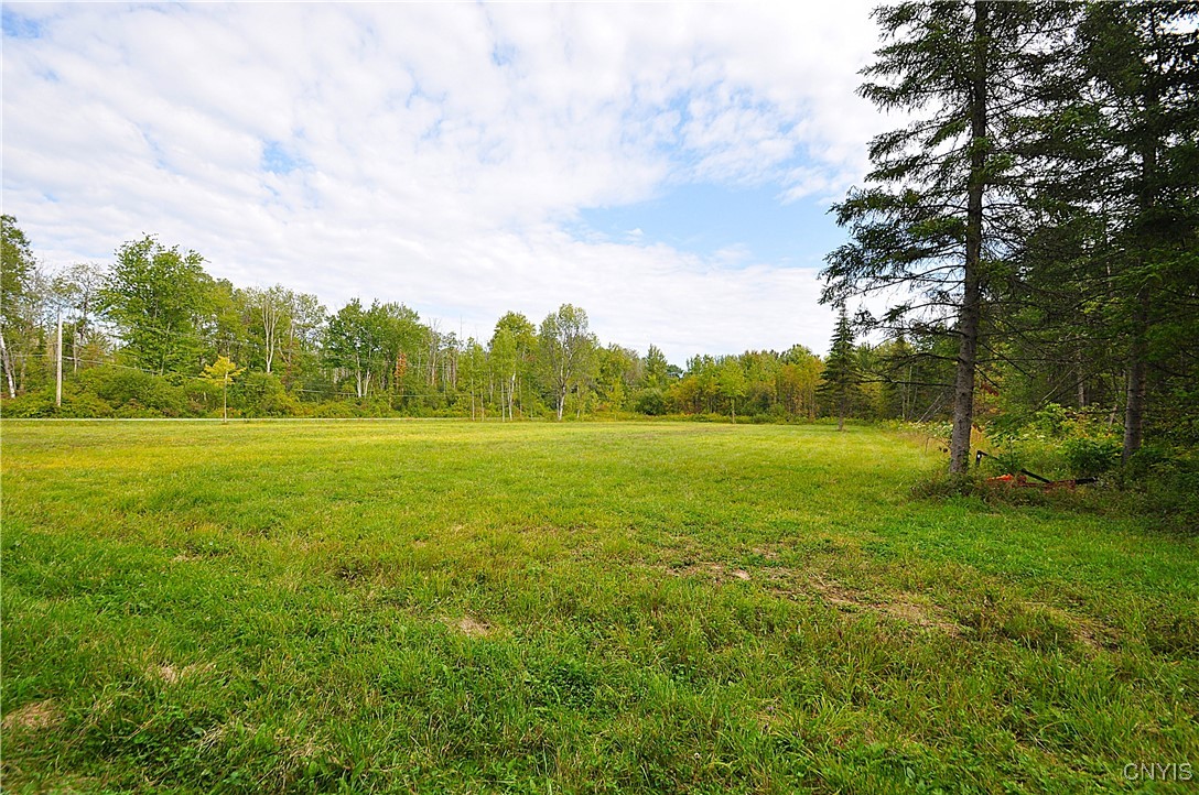 0 Lucas Road Bridgeport, NY 13030 - Photo 7 of 17