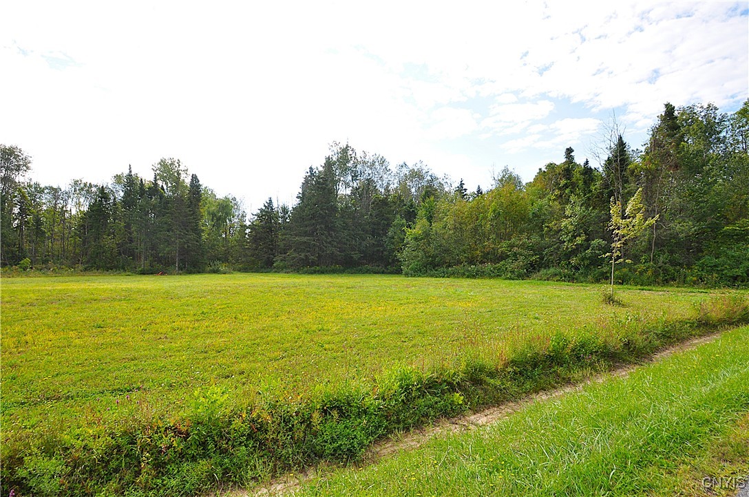 0 Lucas Road Bridgeport, NY 13030 - Photo 10 of 17