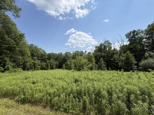 26 Deer Run Becket, MA 01223 - Photo 1 of 4