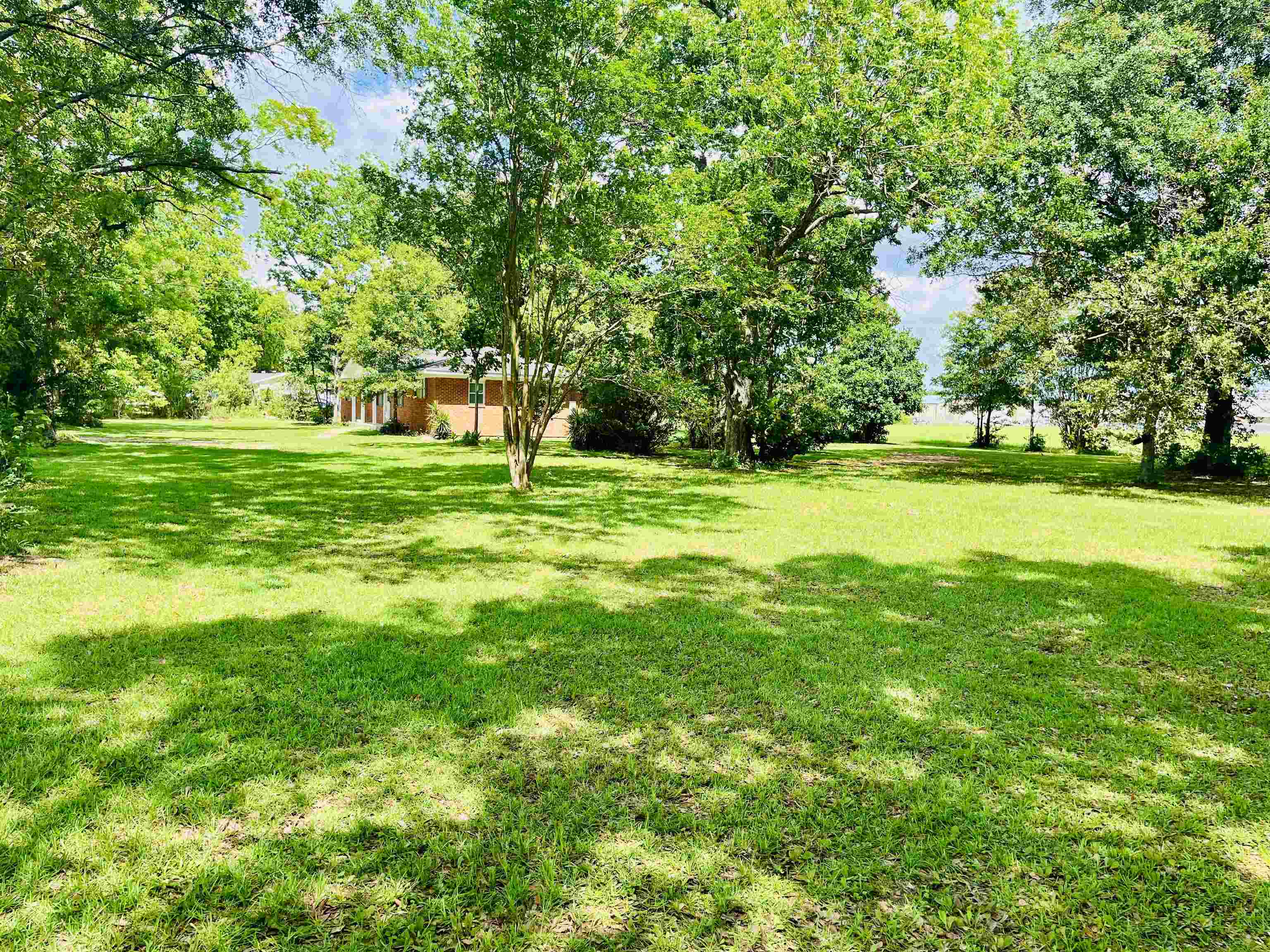 16799 Hinote Glass Road Loxley, AL 36551 - Photo 26 of 26 Yard