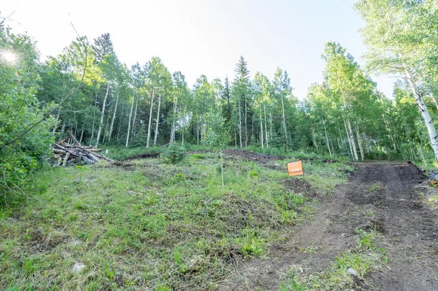 a view of outdoor space and garden