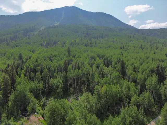 a view of a mountain range with lush green forest