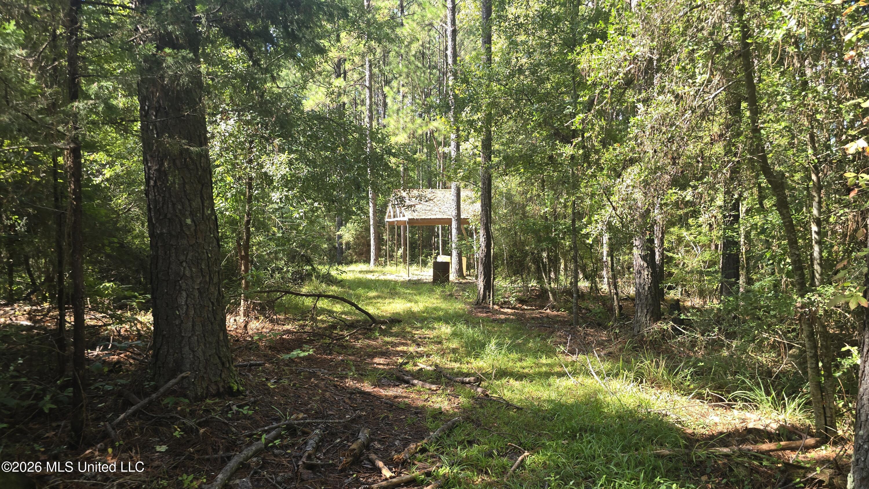 3190 Northeast Quentin Tower Road McCall Creek, MS 39647 - Photo 13 of 33 20260811_100541