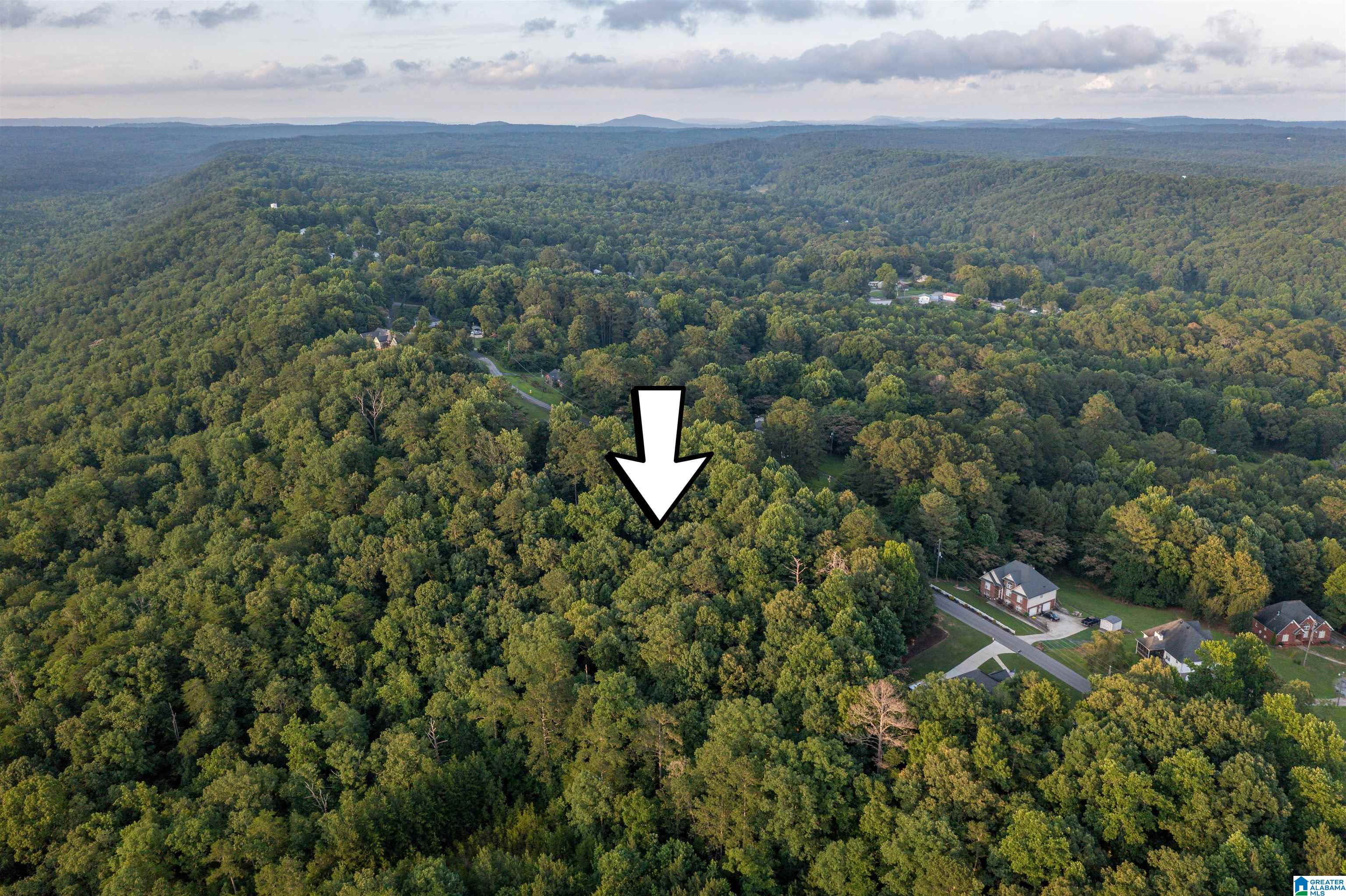 0 Levine Road, Unit X Odenville, AL 35120 - Photo 6 of 16