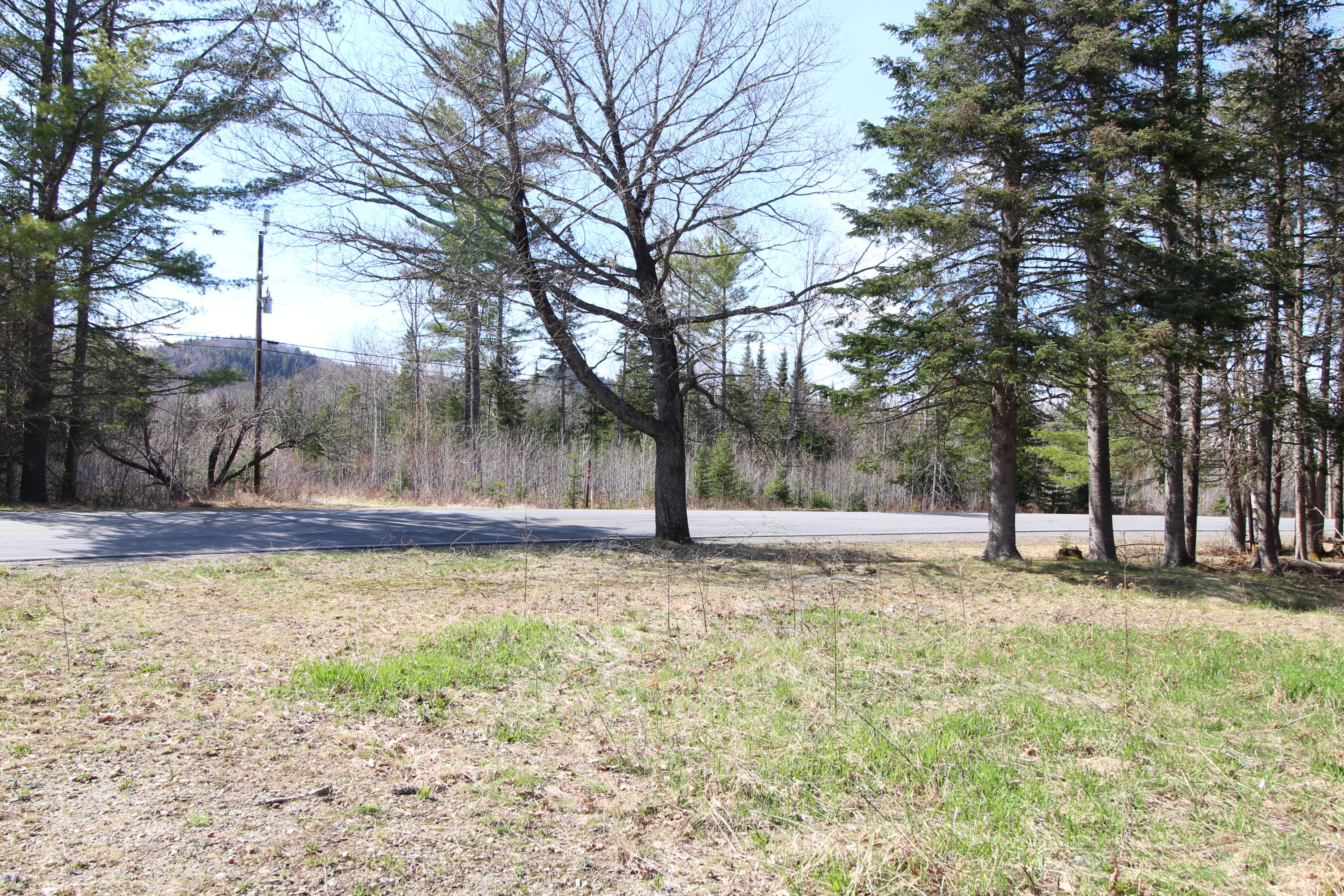 3694 Dam Road Andover, ME 04216 - Photo 10 of 10 IMG_2173