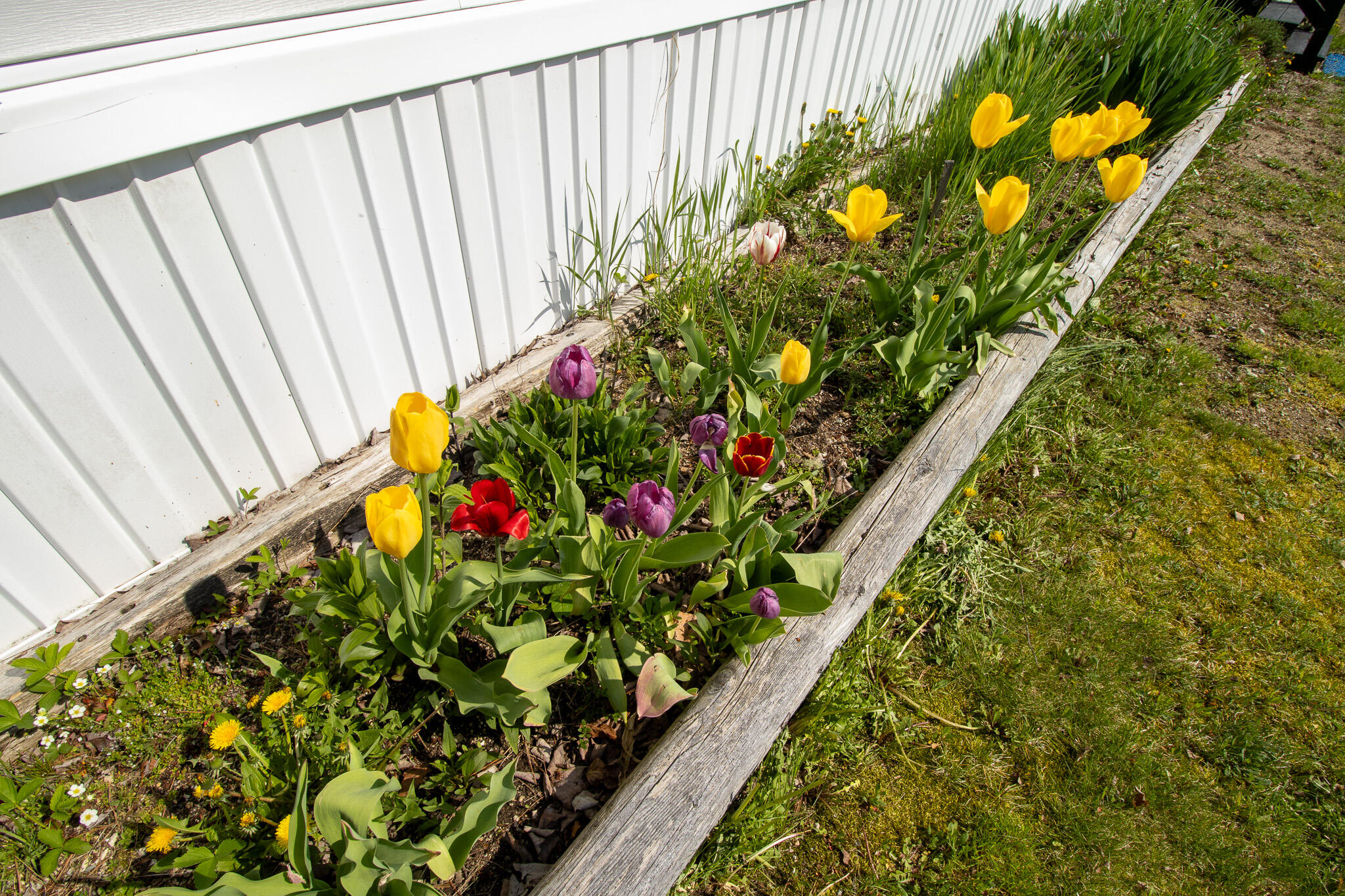 307 Hog Bay Road Franklin, ME 04634 - Photo 10 of 58 24