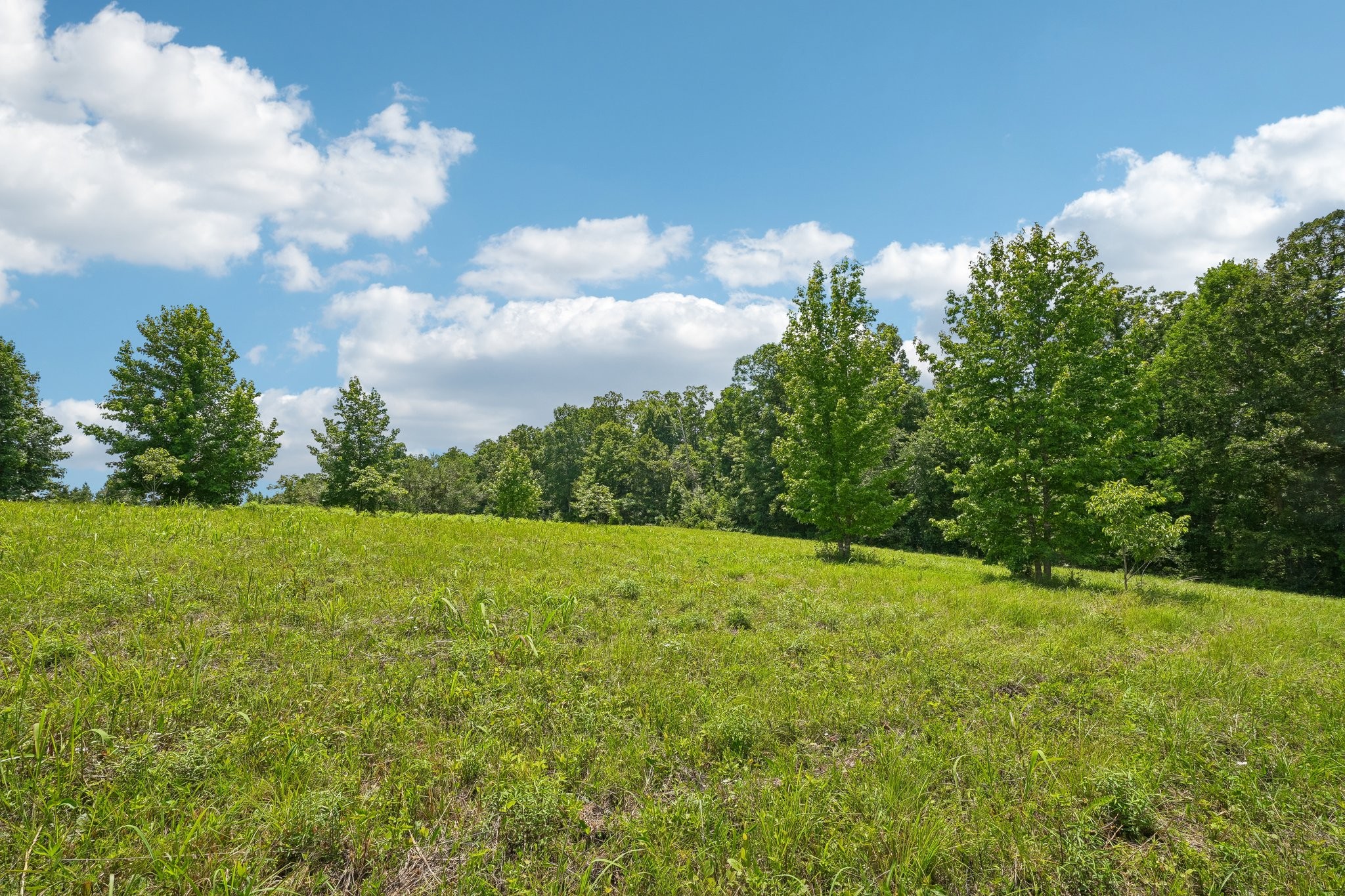 4501 West Tennessee City Road McEwen, TN 37101 - Photo 58 of 72
