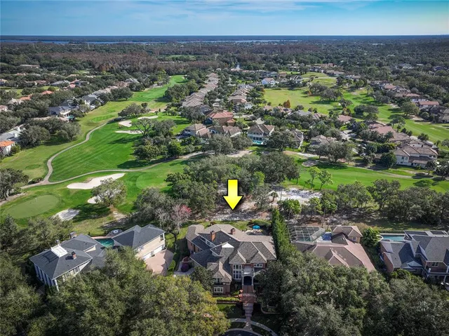 $2,850,000 | 1151 Tinley Court, Palm Harbor, FL 34683