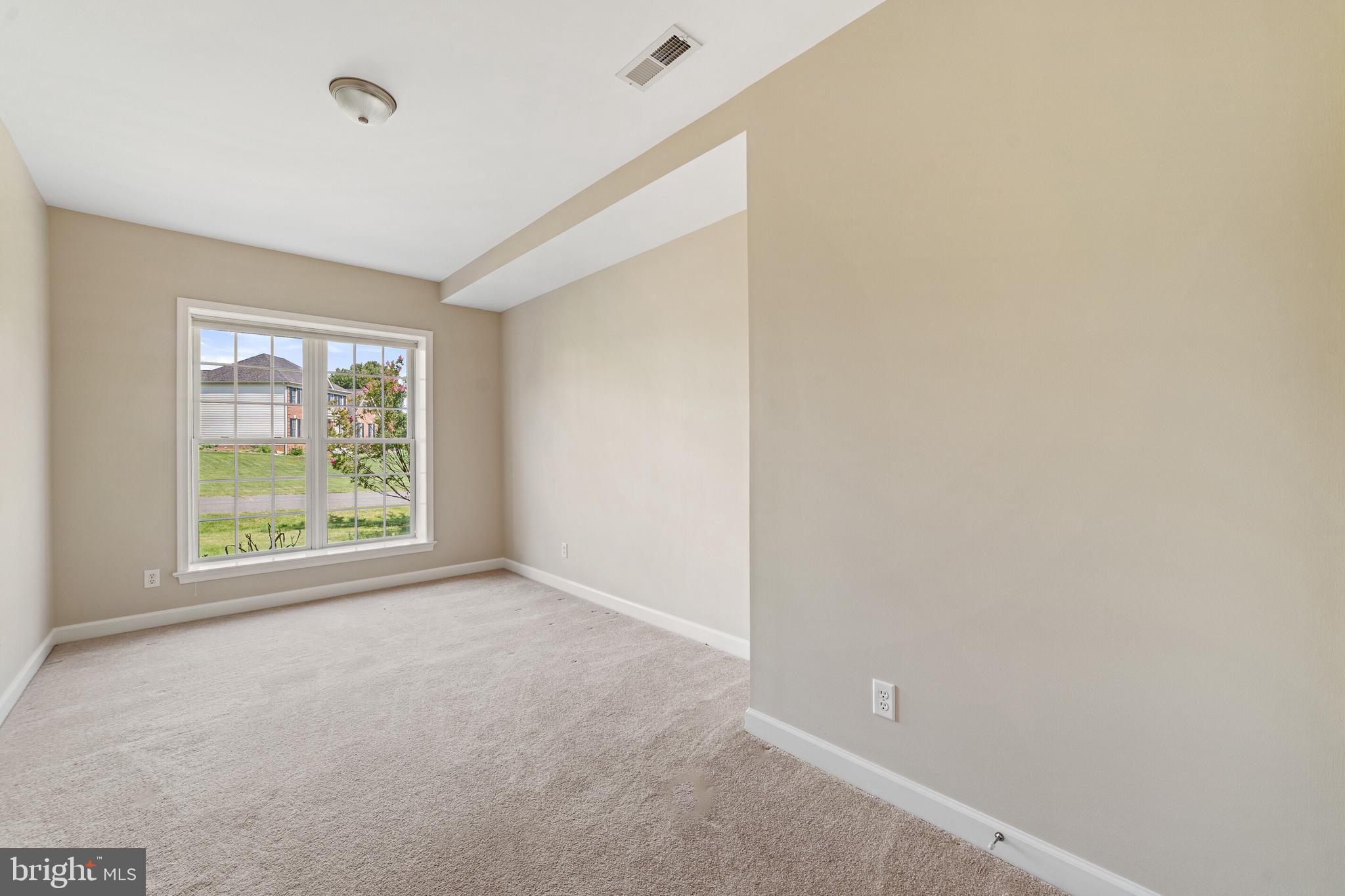 19198 Stallion Road Culpeper, VA 22701 - Photo 22 of 43 lower level bedrooom