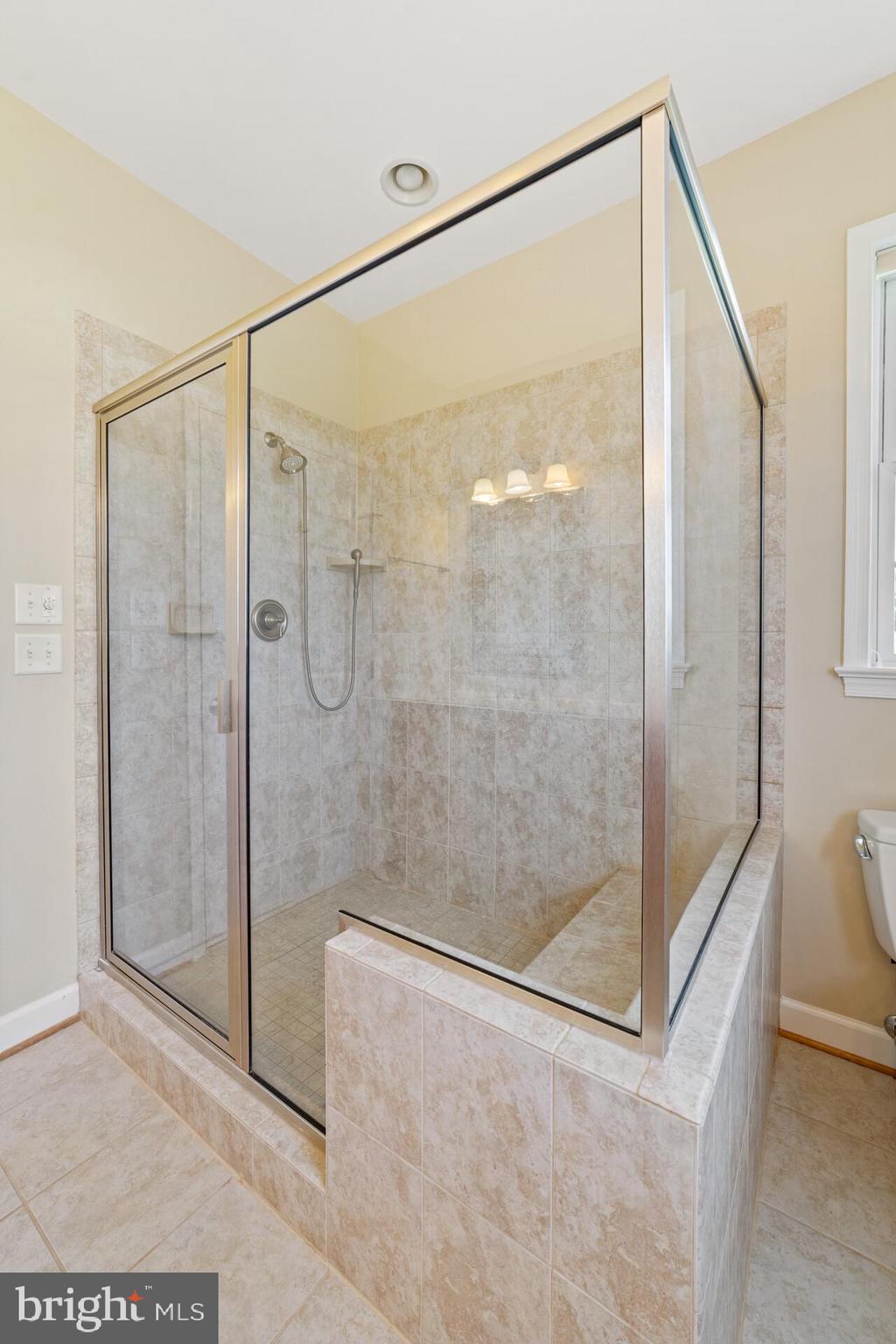19198 Stallion Road Culpeper, VA 22701 - Photo 42 of 43 master shower