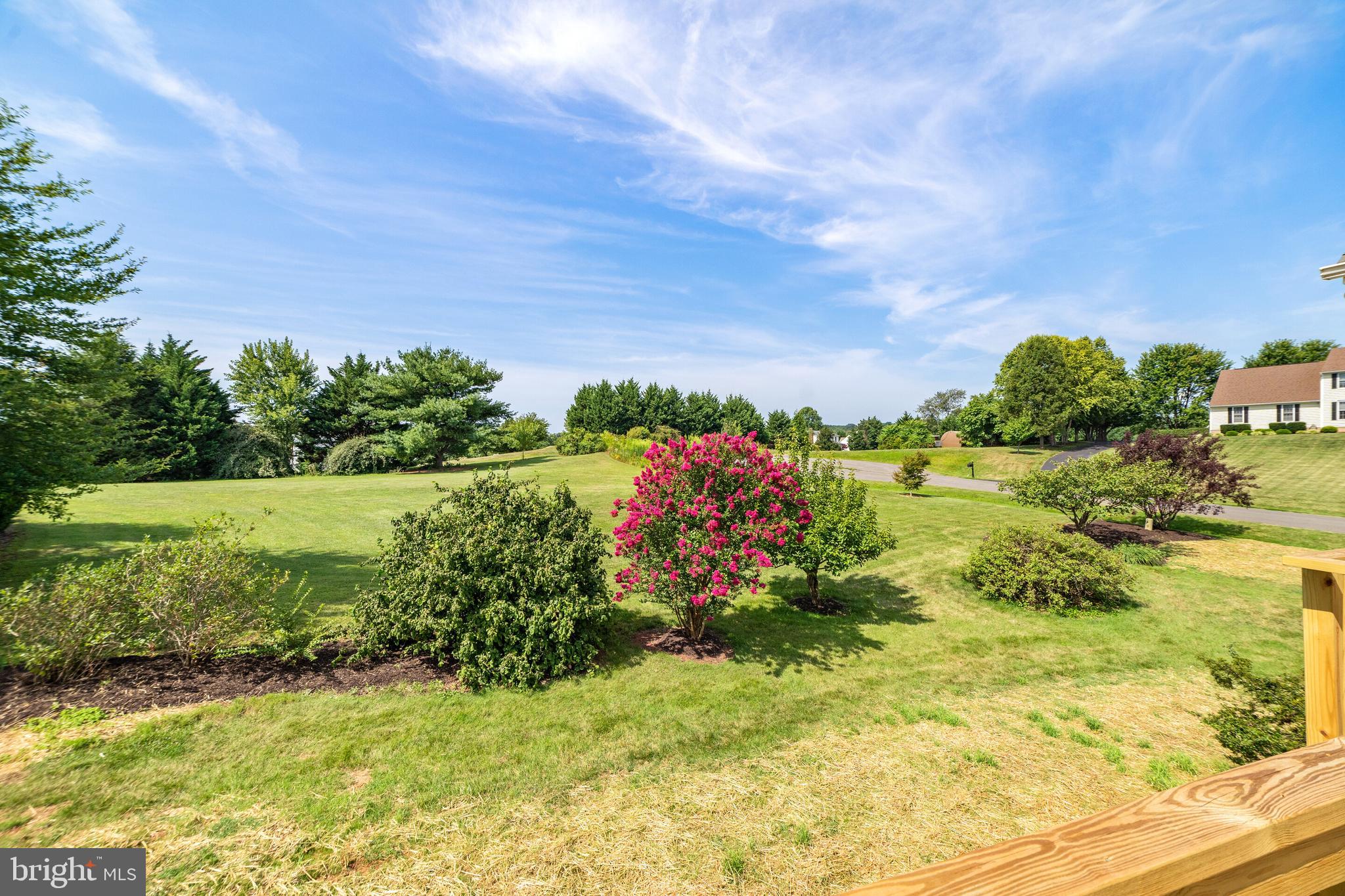 19198 Stallion Road Culpeper, VA 22701 - Photo 6 of 43 lots of mature landscaping