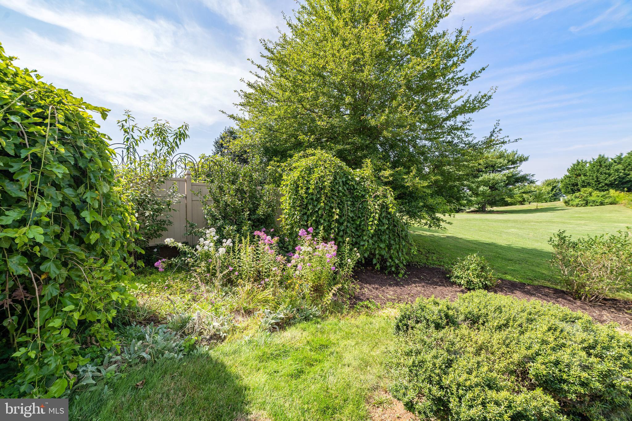 19198 Stallion Road Culpeper, VA 22701 - Photo 9 of 43 Gallery Image 9