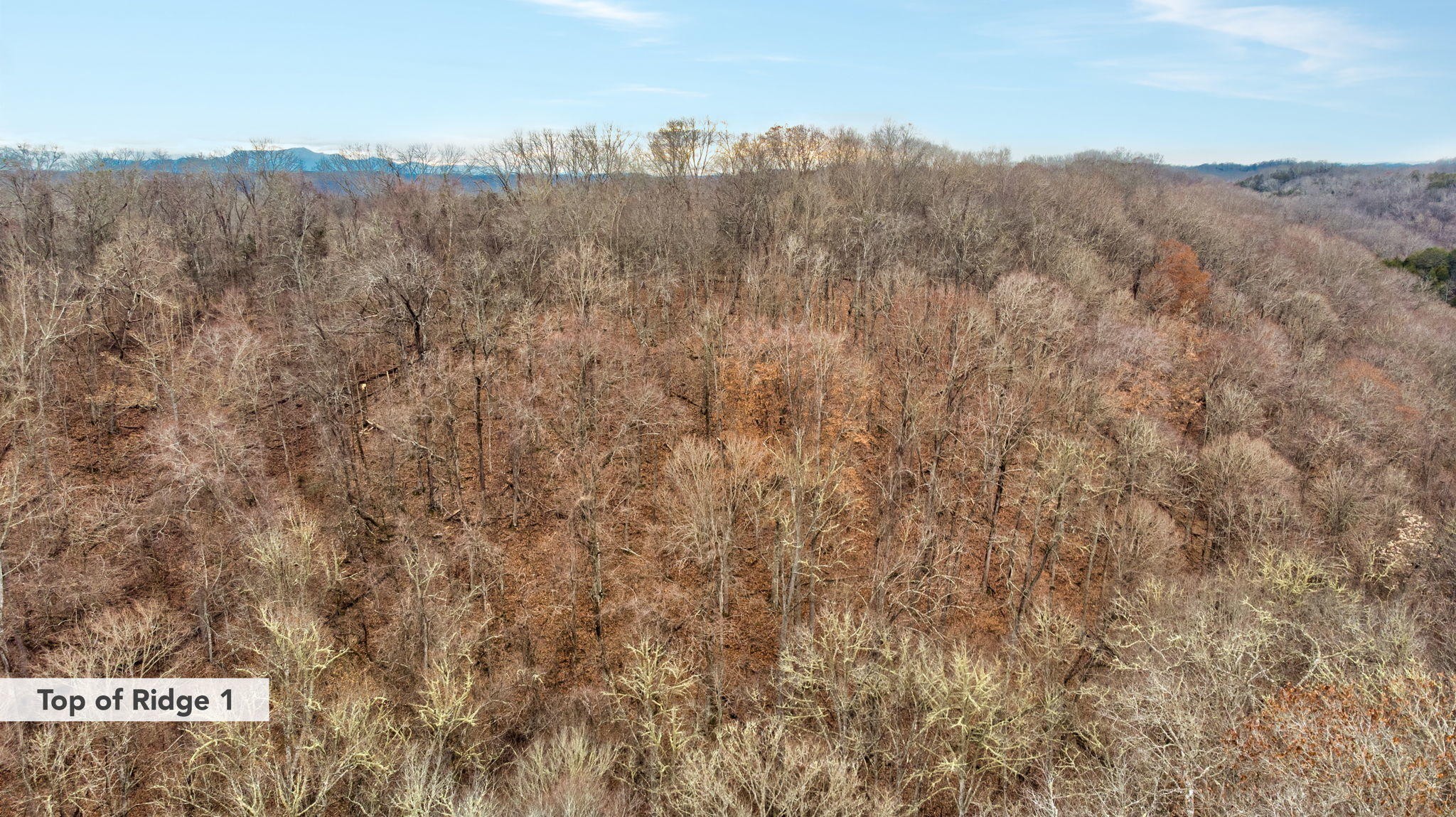 2783 Moore Ridge Road Bybee, TN 37713 - Photo 1 of 22