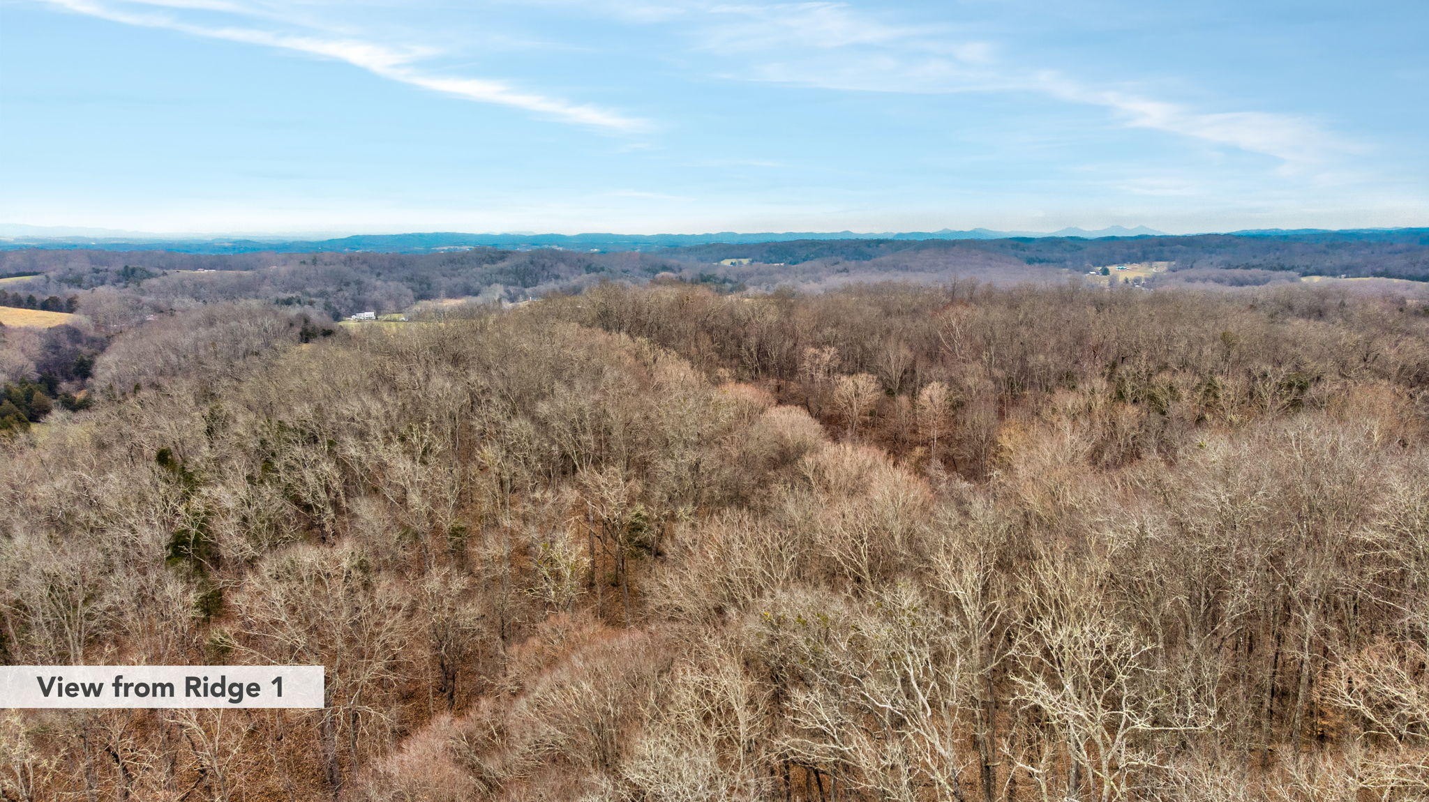 2783 Moore Ridge Road Bybee, TN 37713 - Photo 2 of 22 a view of city and mountain