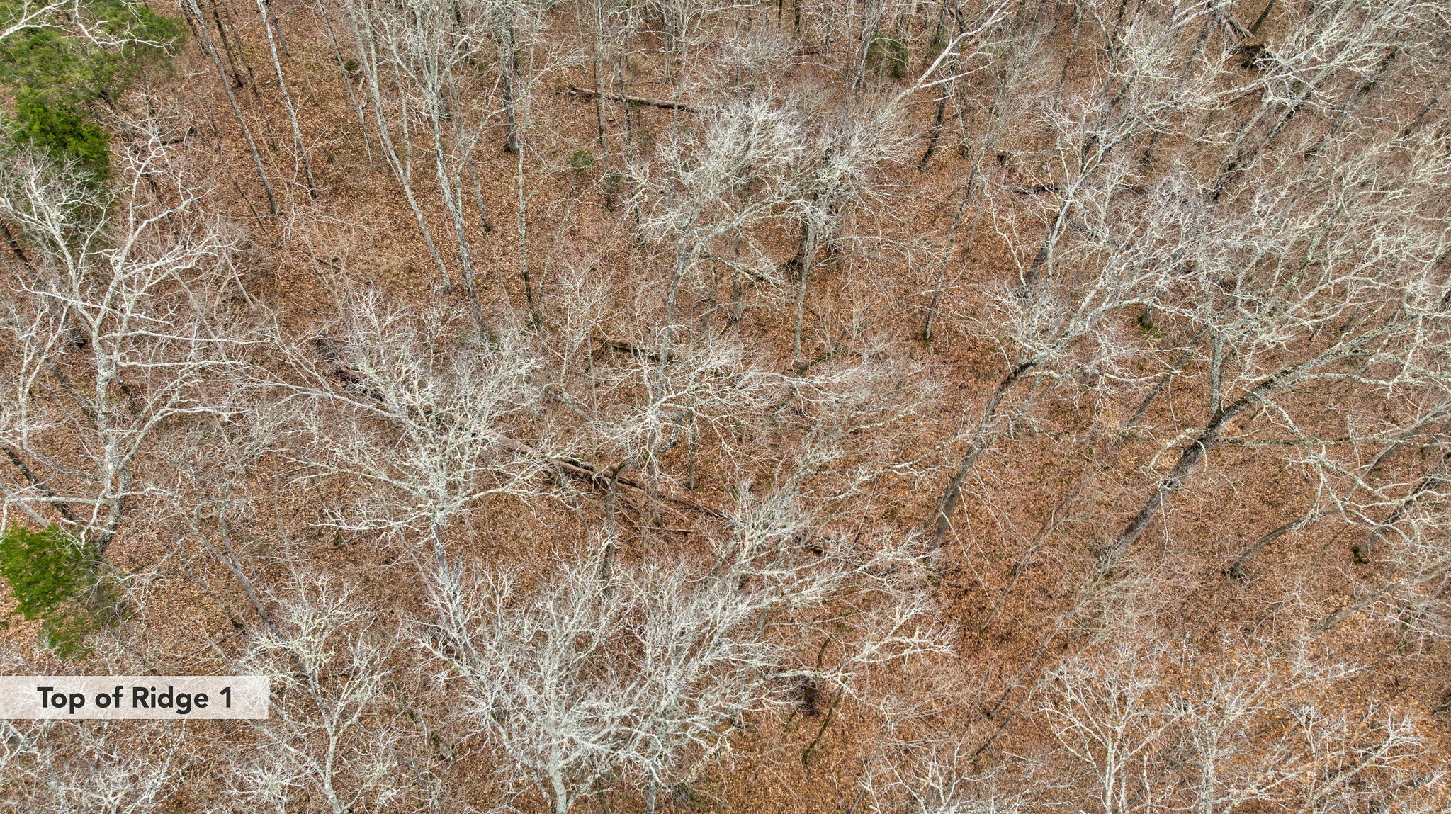 2783 Moore Ridge Road Bybee, TN 37713 - Photo 4 of 22 a close up of a white wall