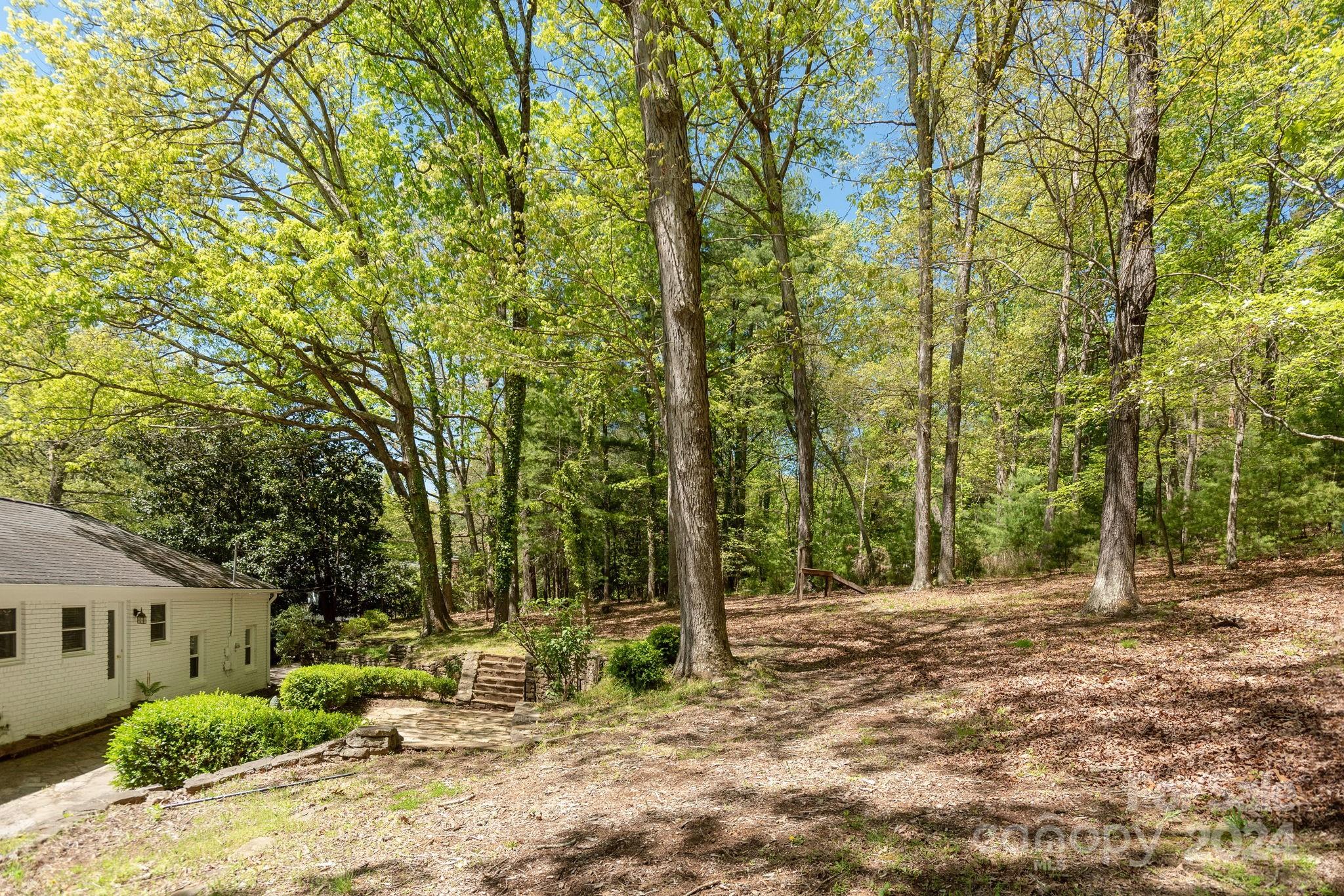 51 Forest Road Asheville, NC 28803 - Photo 40 of 45 a view of backyard with green space and trees