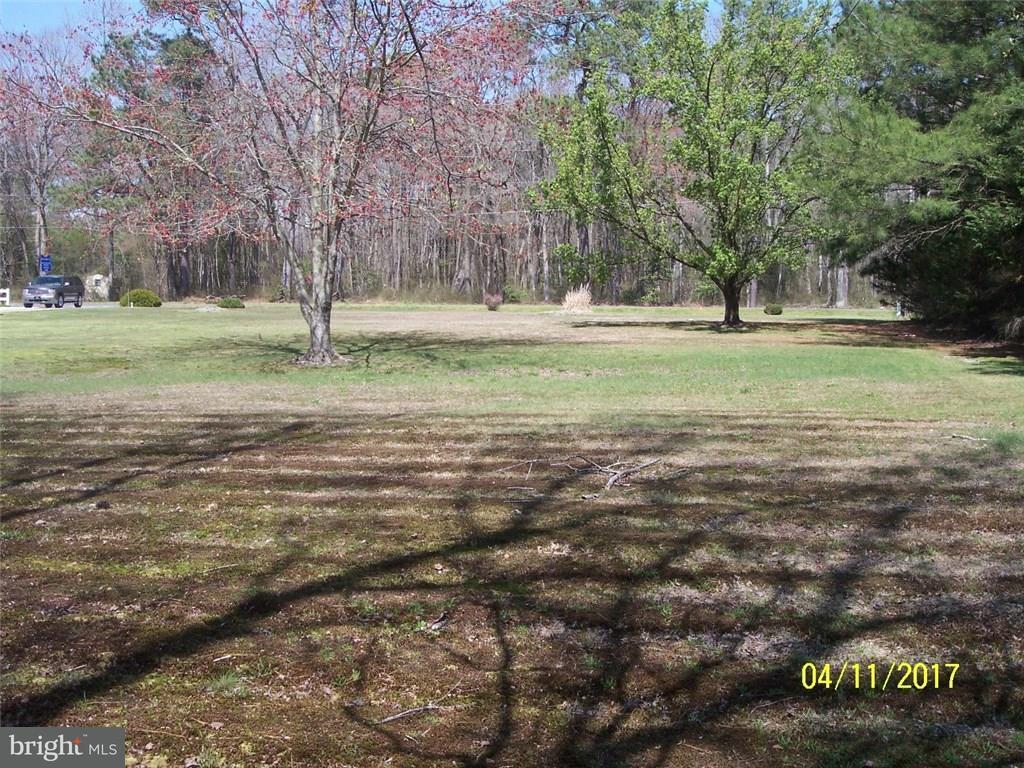 27196 Gum Tree Road Dagsboro, DE 19939 - Photo 7 of 20 Gallery Image 7