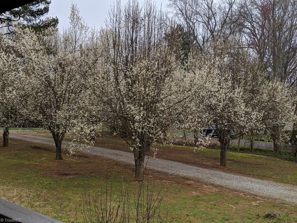 5873 Stanley Huff Road Summerfield, NC 27358 - Photo 5 of 50 Gallery Image 5