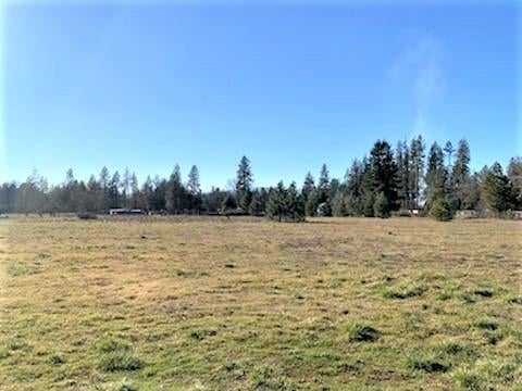 5353 Holland Loop Road Cave Junction, OR 97523 - Photo 23 of 24 23.5