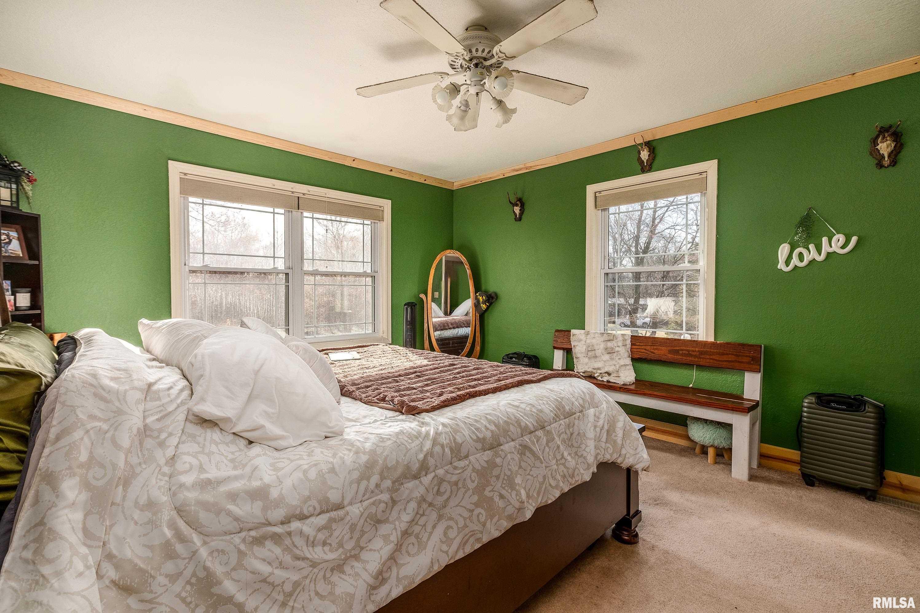 15588 Becker Road Johnston City, IL 62951 - Photo 18 of 63