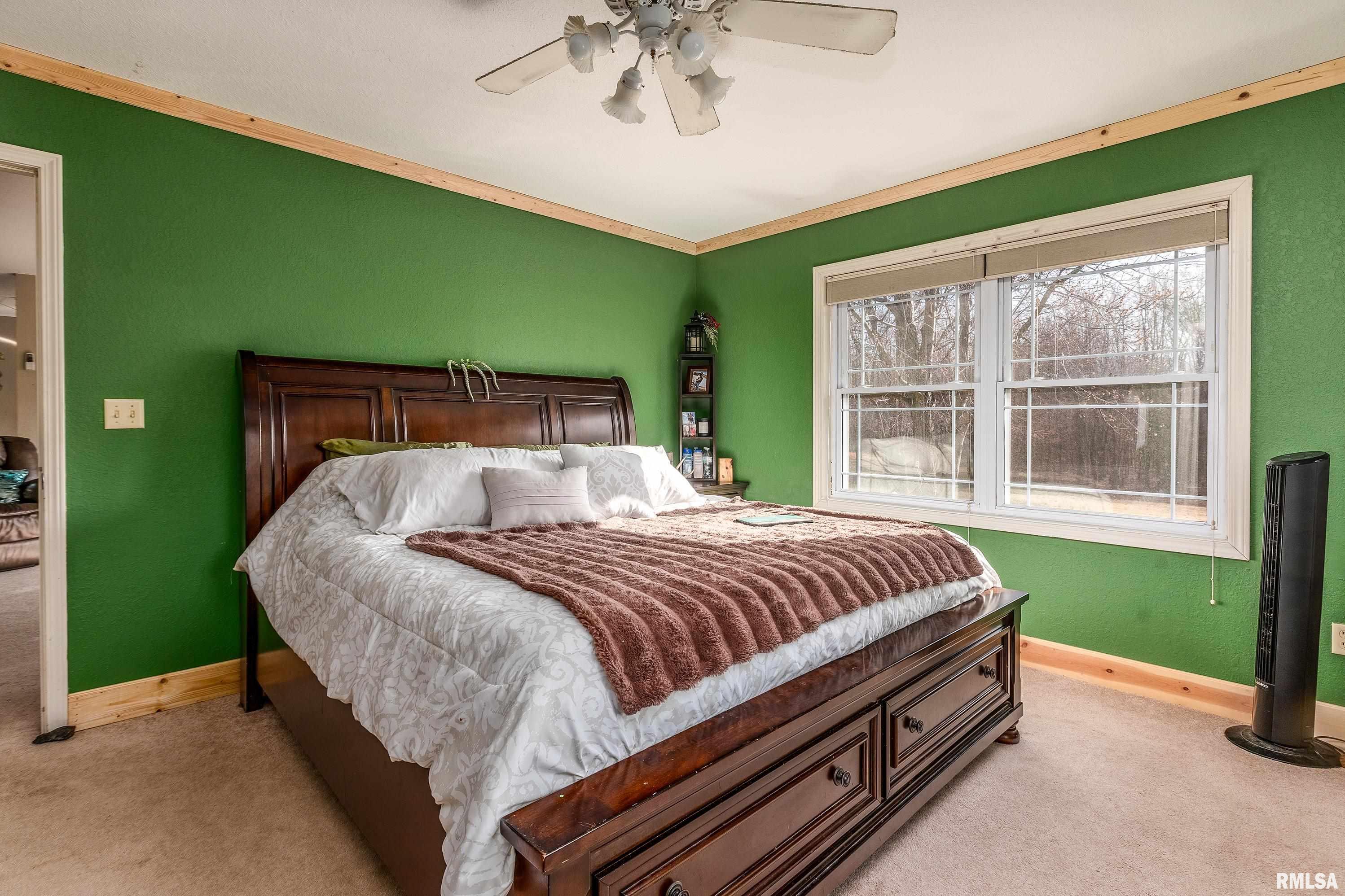 15588 Becker Road Johnston City, IL 62951 - Photo 19 of 63