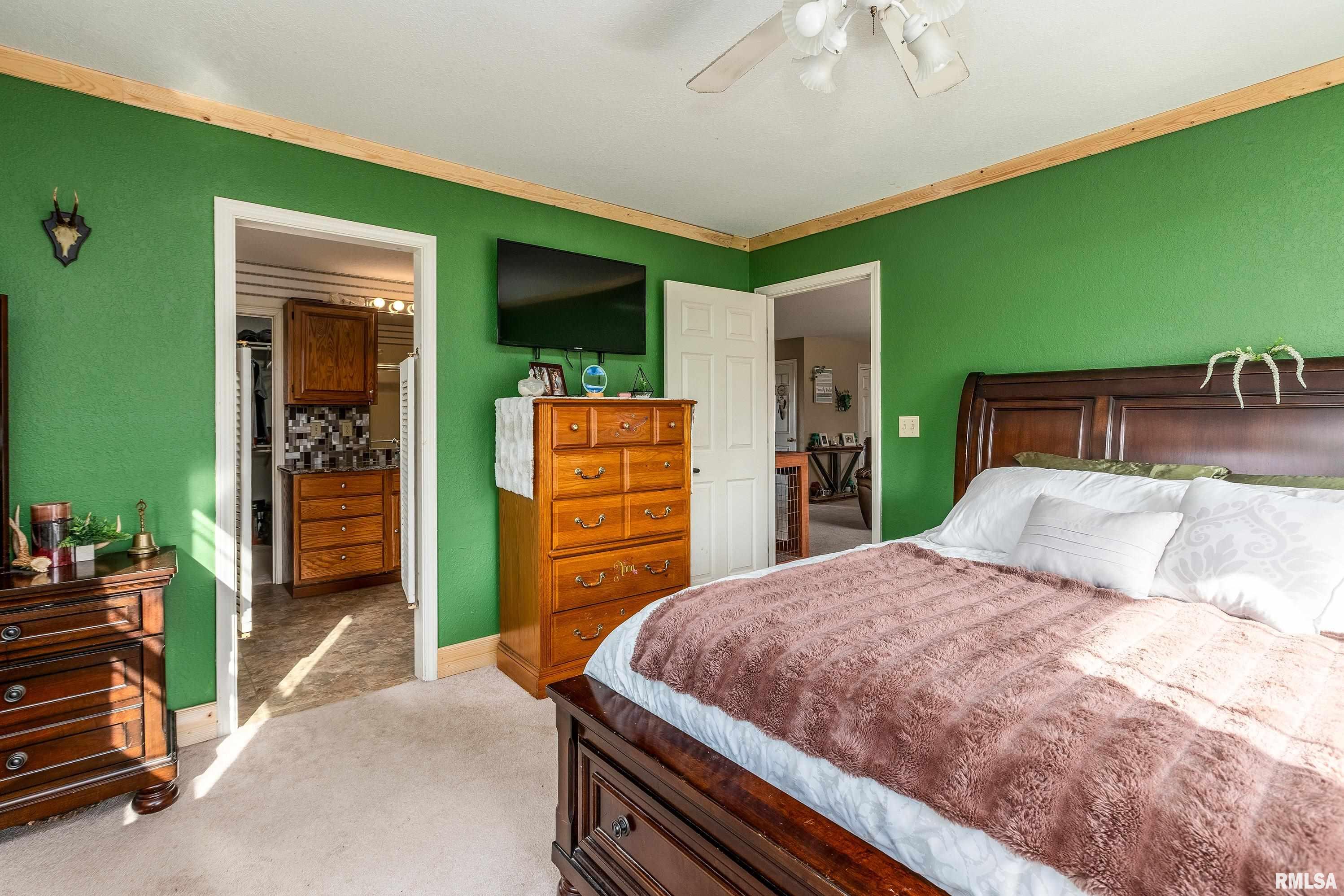 15588 Becker Road Johnston City, IL 62951 - Photo 20 of 63