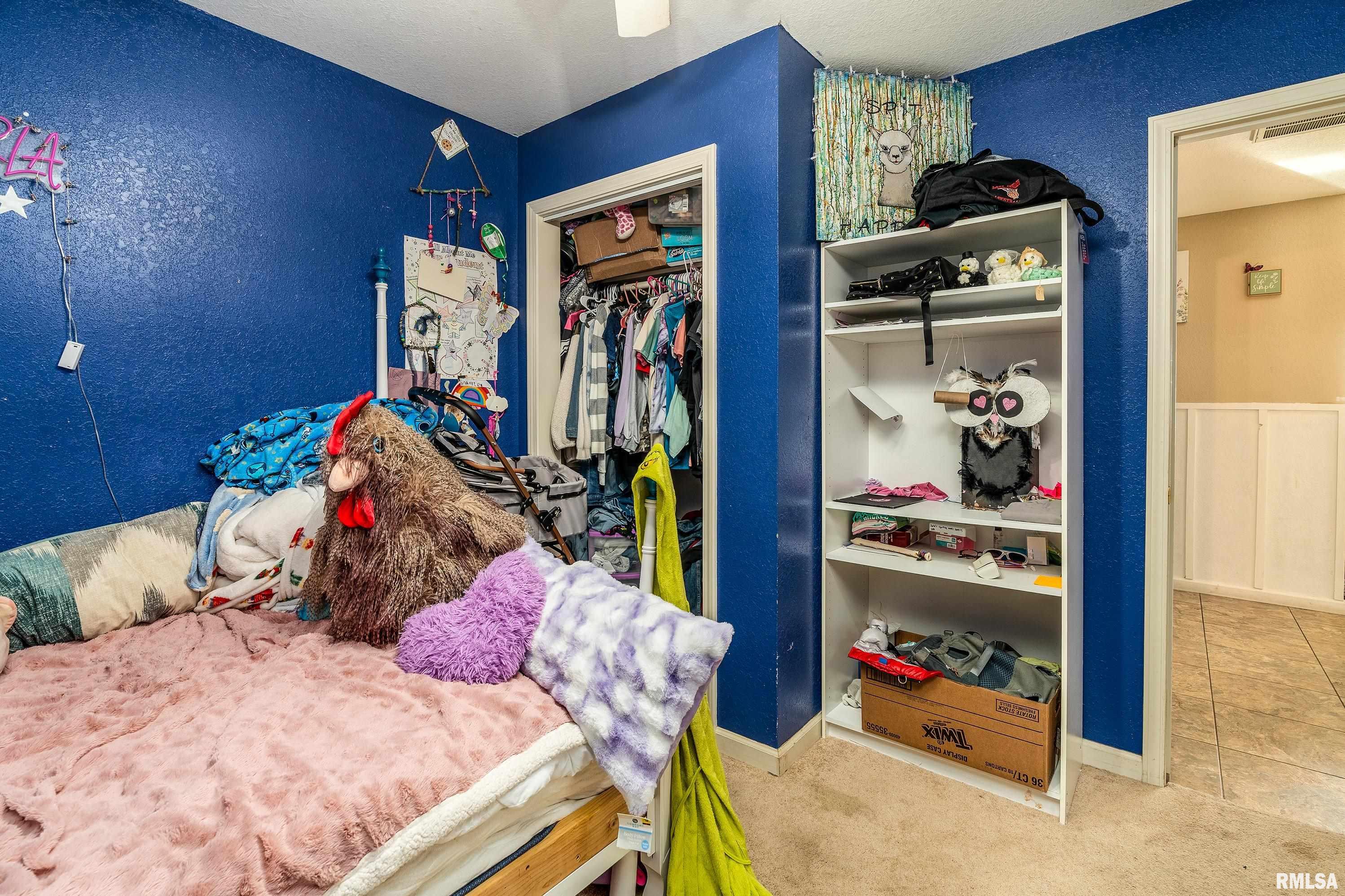 15588 Becker Road Johnston City, IL 62951 - Photo 25 of 63