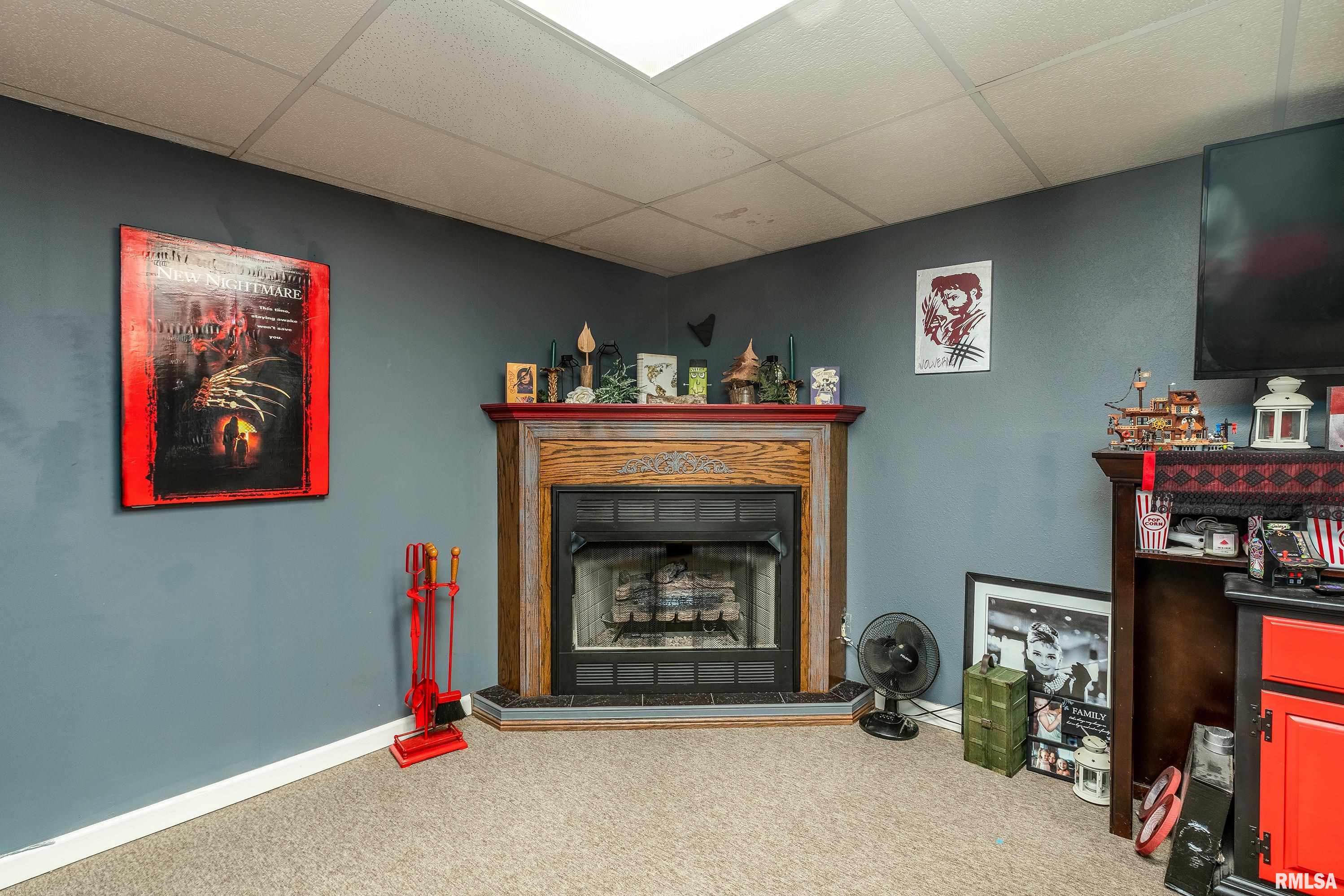 15588 Becker Road Johnston City, IL 62951 - Photo 33 of 63