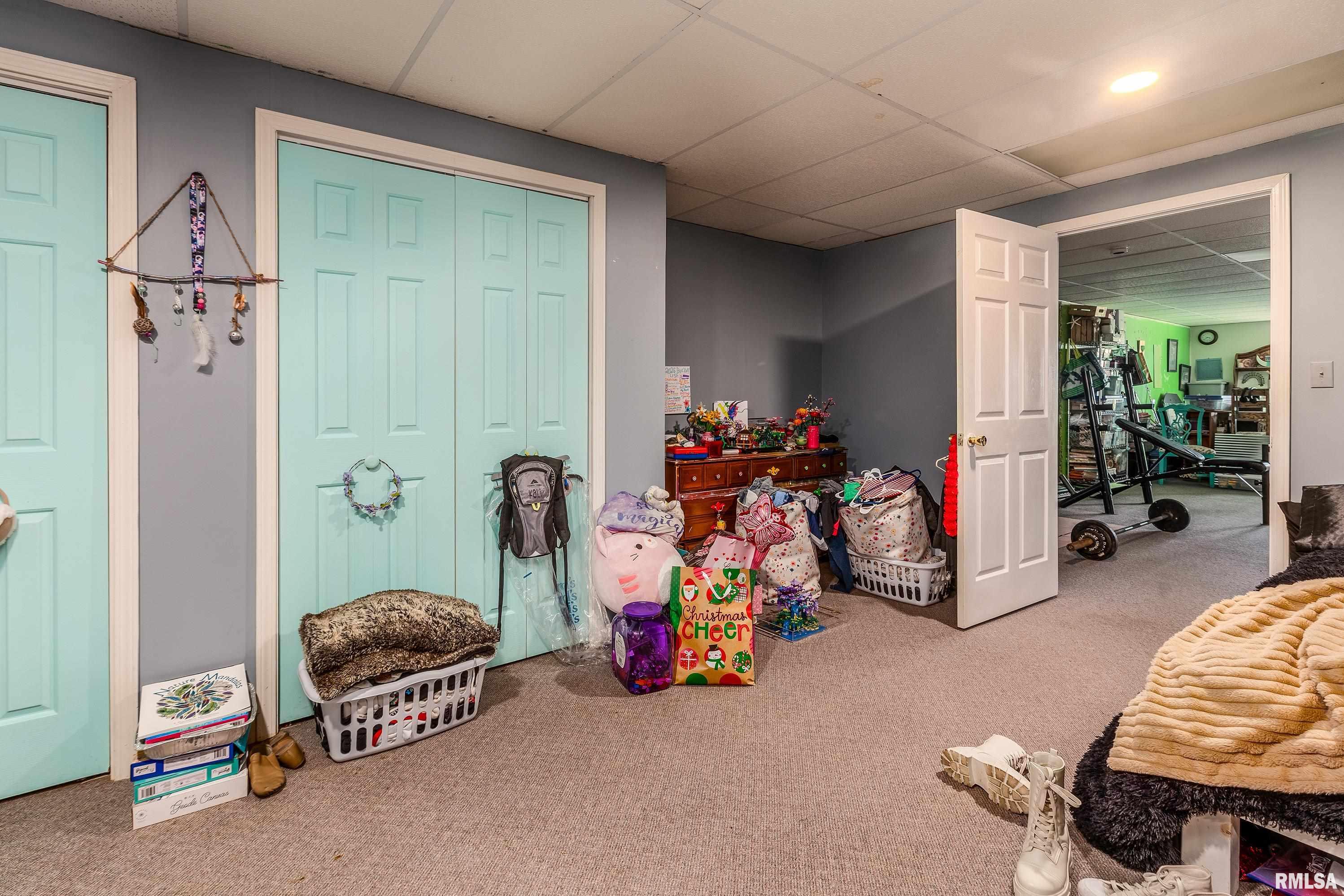 15588 Becker Road Johnston City, IL 62951 - Photo 39 of 63