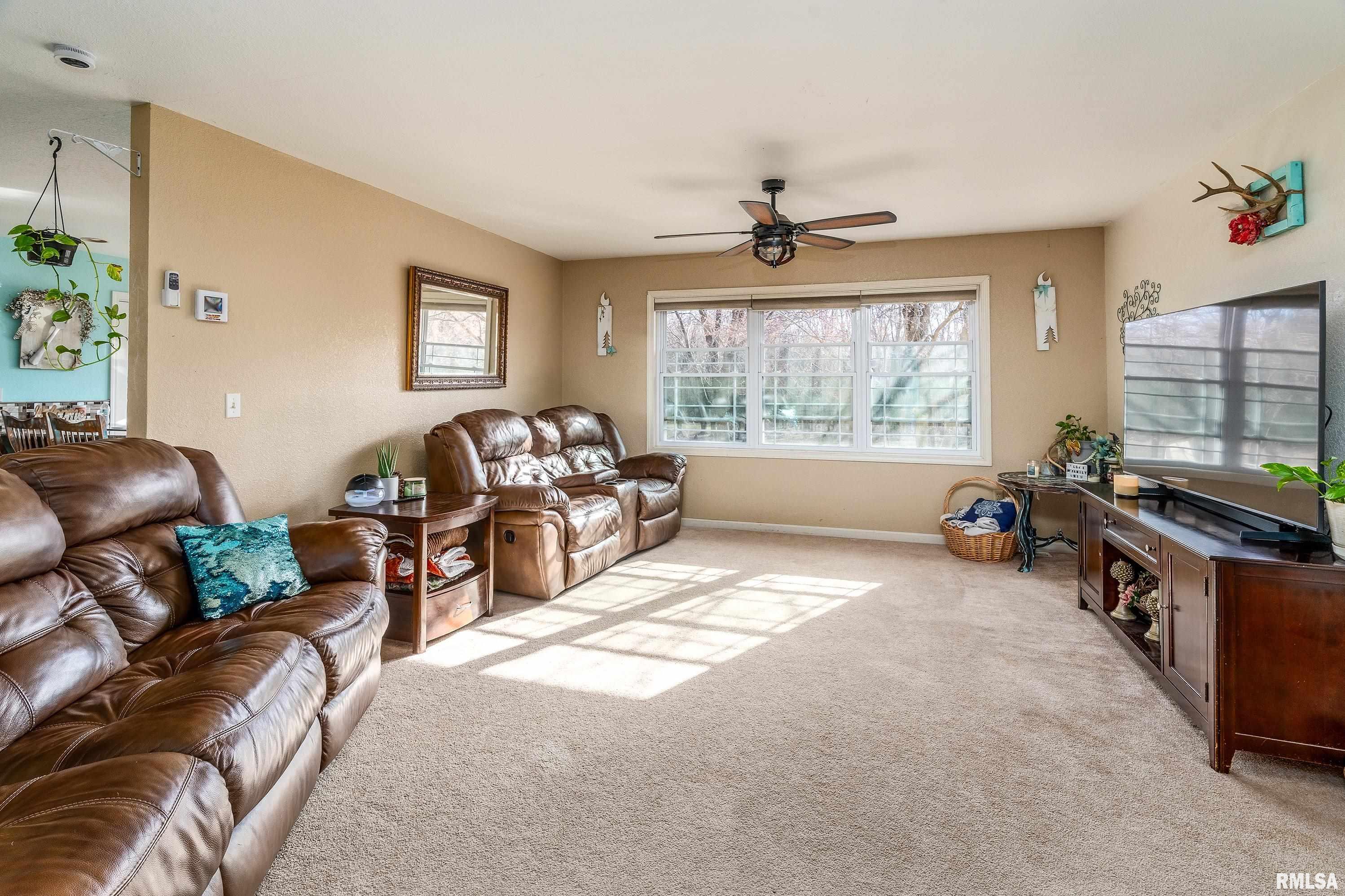 15588 Becker Road Johnston City, IL 62951 - Photo 6 of 63