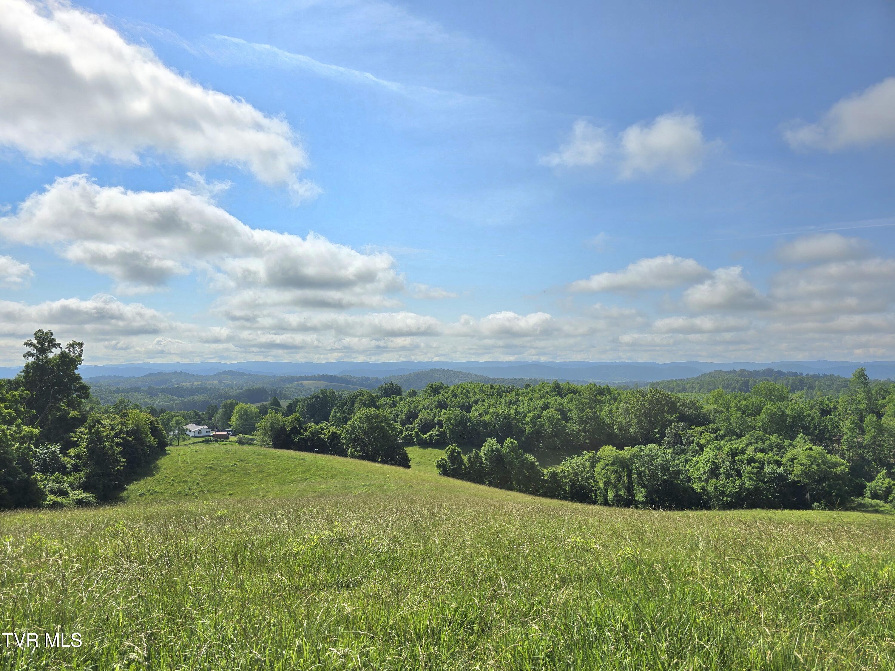 338 County Line Road Harrogate, TN 37752 - Photo 3 of 78 B39A8AA0-90AB-4E3B-BB02-7F3CBE287FA9