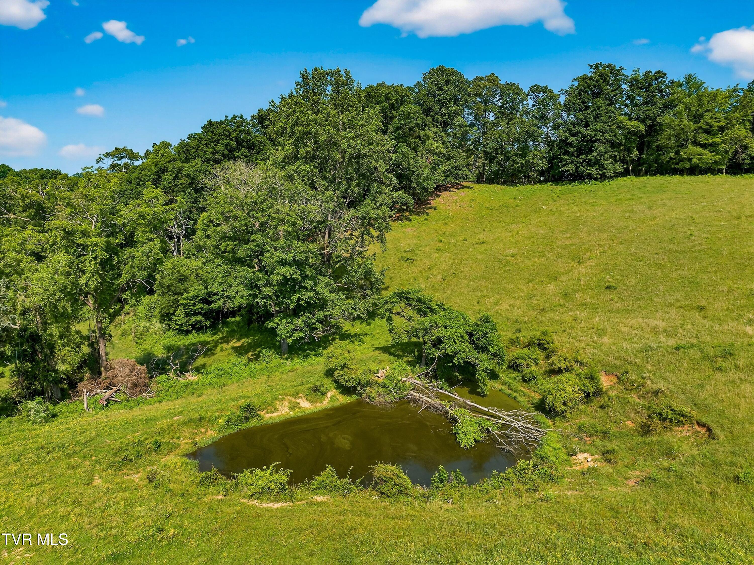 338 County Line Road Harrogate, TN 37752 - Photo 38 of 78 073-338CountyLineRoad-Tazewell-TN-37879-