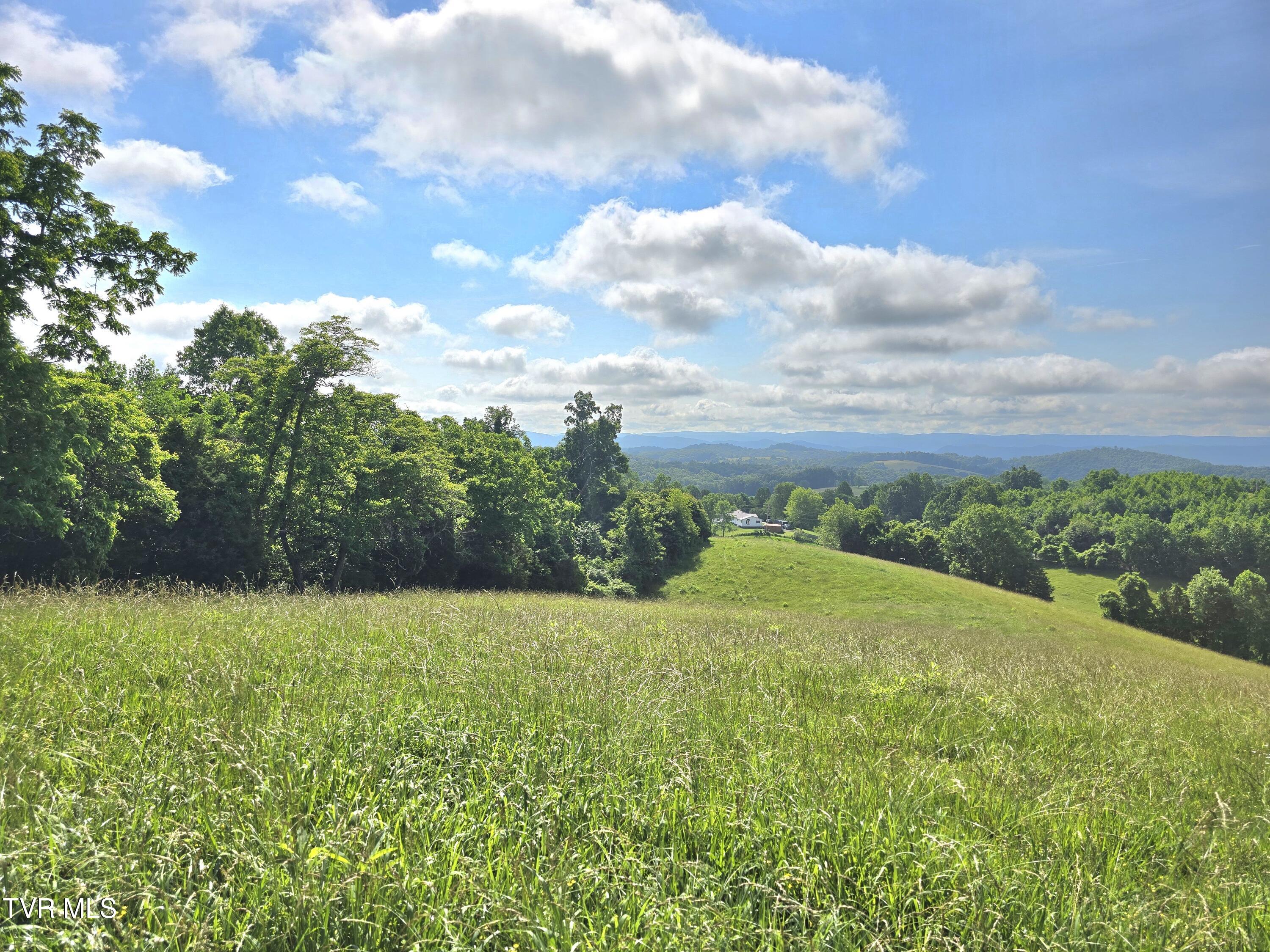 338 County Line Road Harrogate, TN 37752 - Photo 4 of 78 347A0B2C-585C-499D-AC74-9481226A7D8A