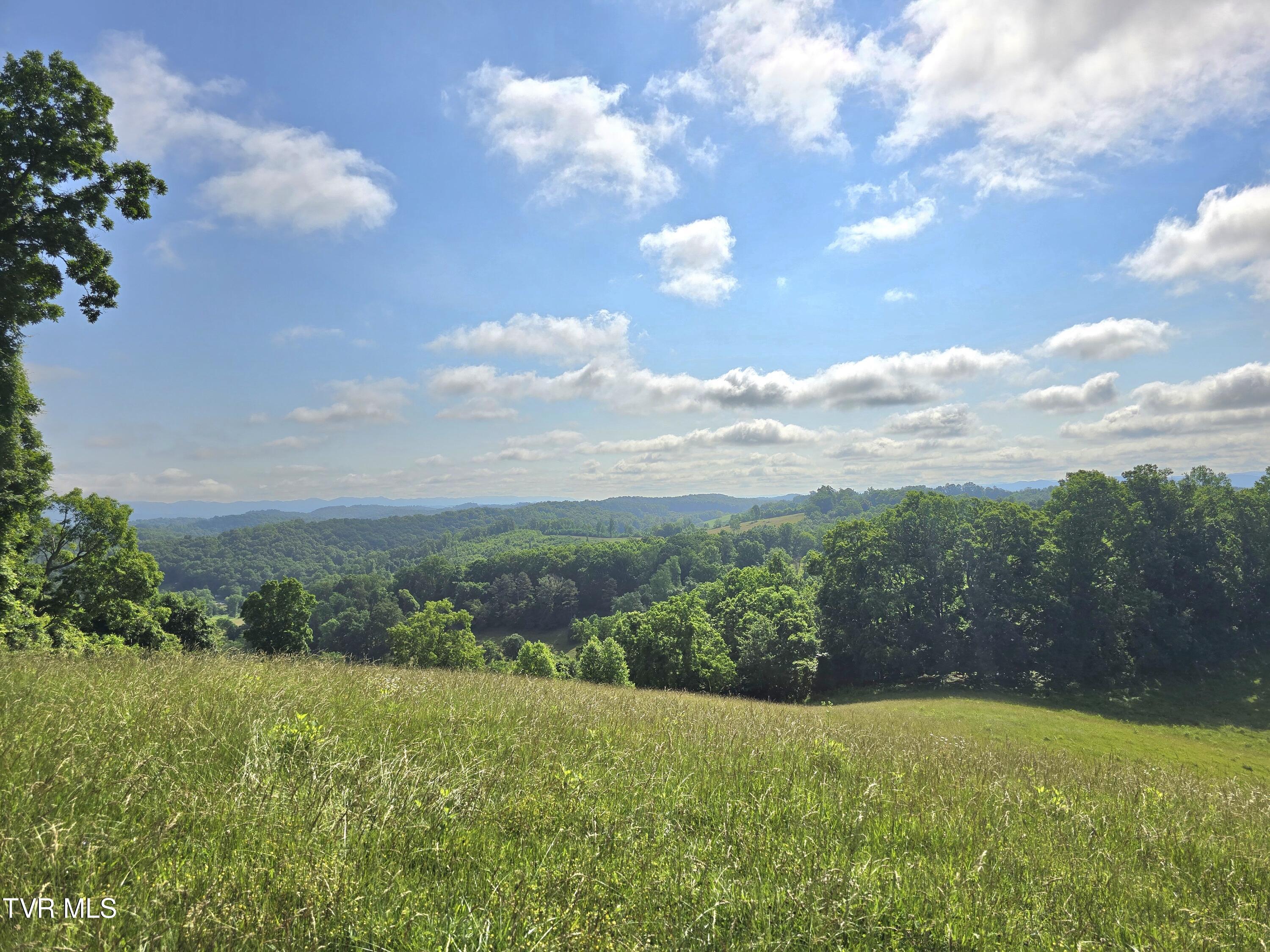 338 County Line Road Harrogate, TN 37752 - Photo 5 of 78 E1C7E068-4666-4E3E-8F60-F7A0F83D71D2