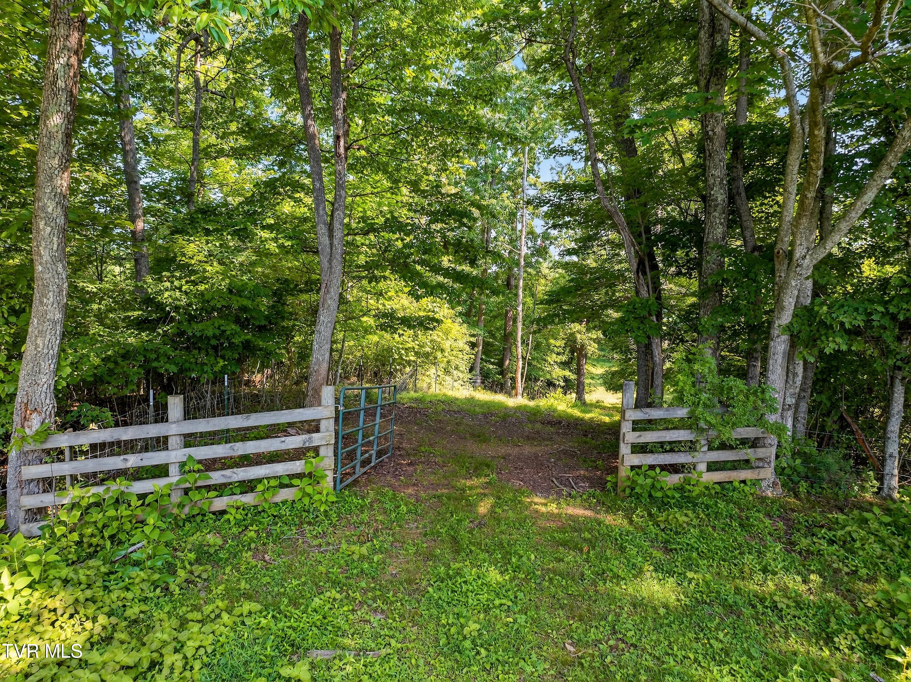 338 County Line Road Harrogate, TN 37752 - Photo 61 of 78 062-338CountyLineRoad-Tazewell-TN-37879-