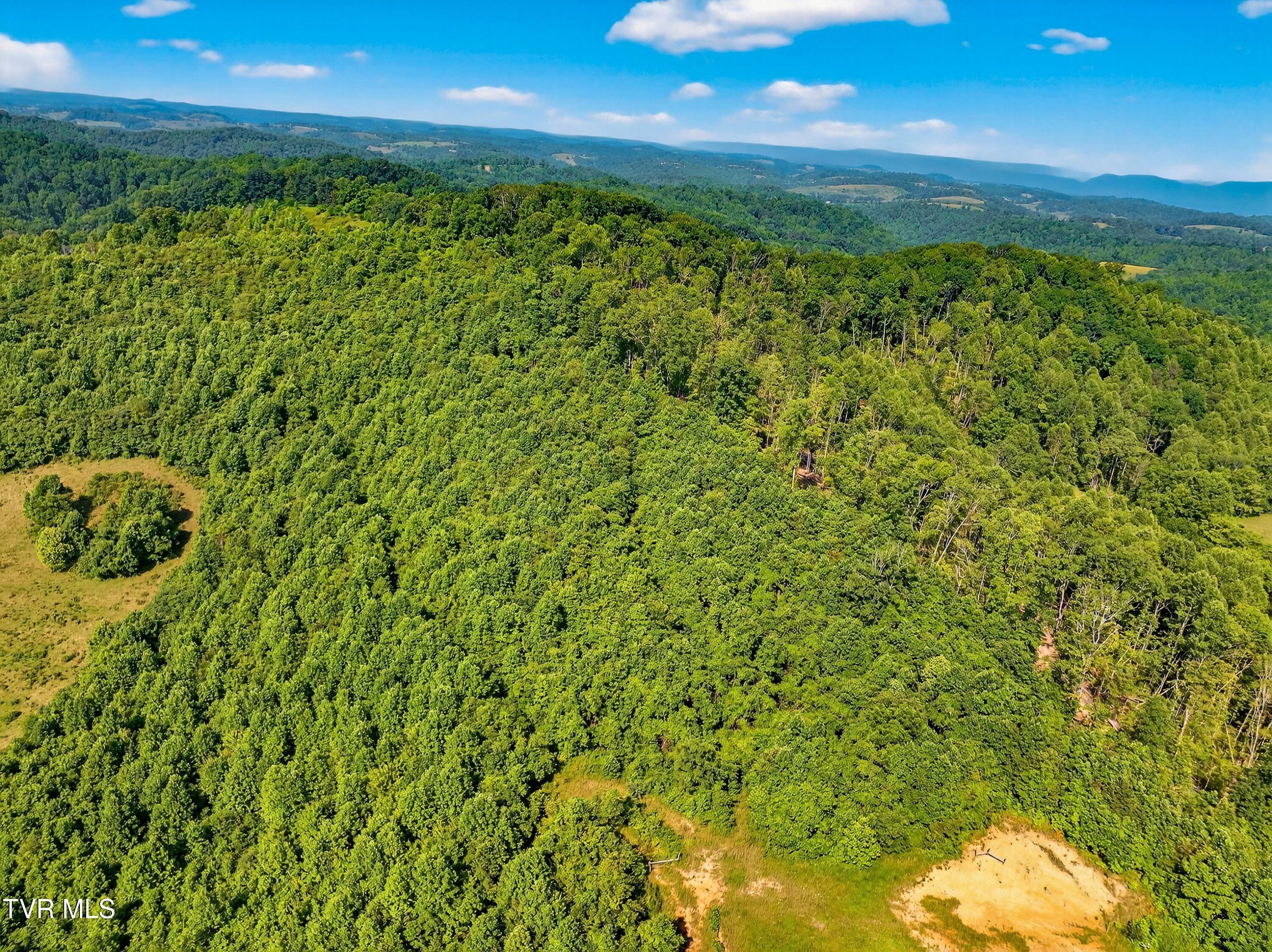 338 County Line Road Harrogate, TN 37752 - Photo 62 of 78 071-338CountyLineRoad-Tazewell-TN-37879-