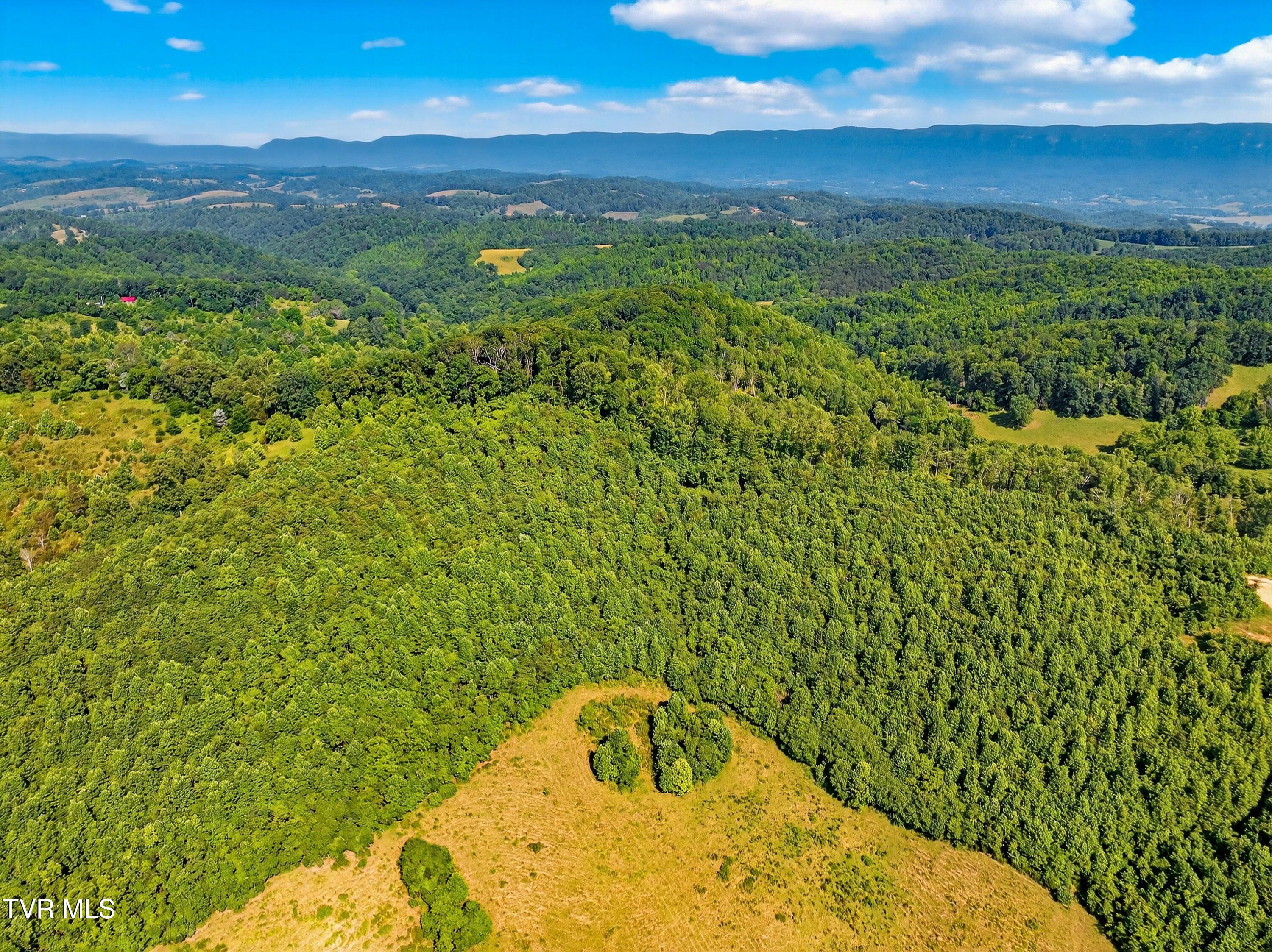 338 County Line Road Harrogate, TN 37752 - Photo 65 of 78 070-338CountyLineRoad-Tazewell-TN-37879-