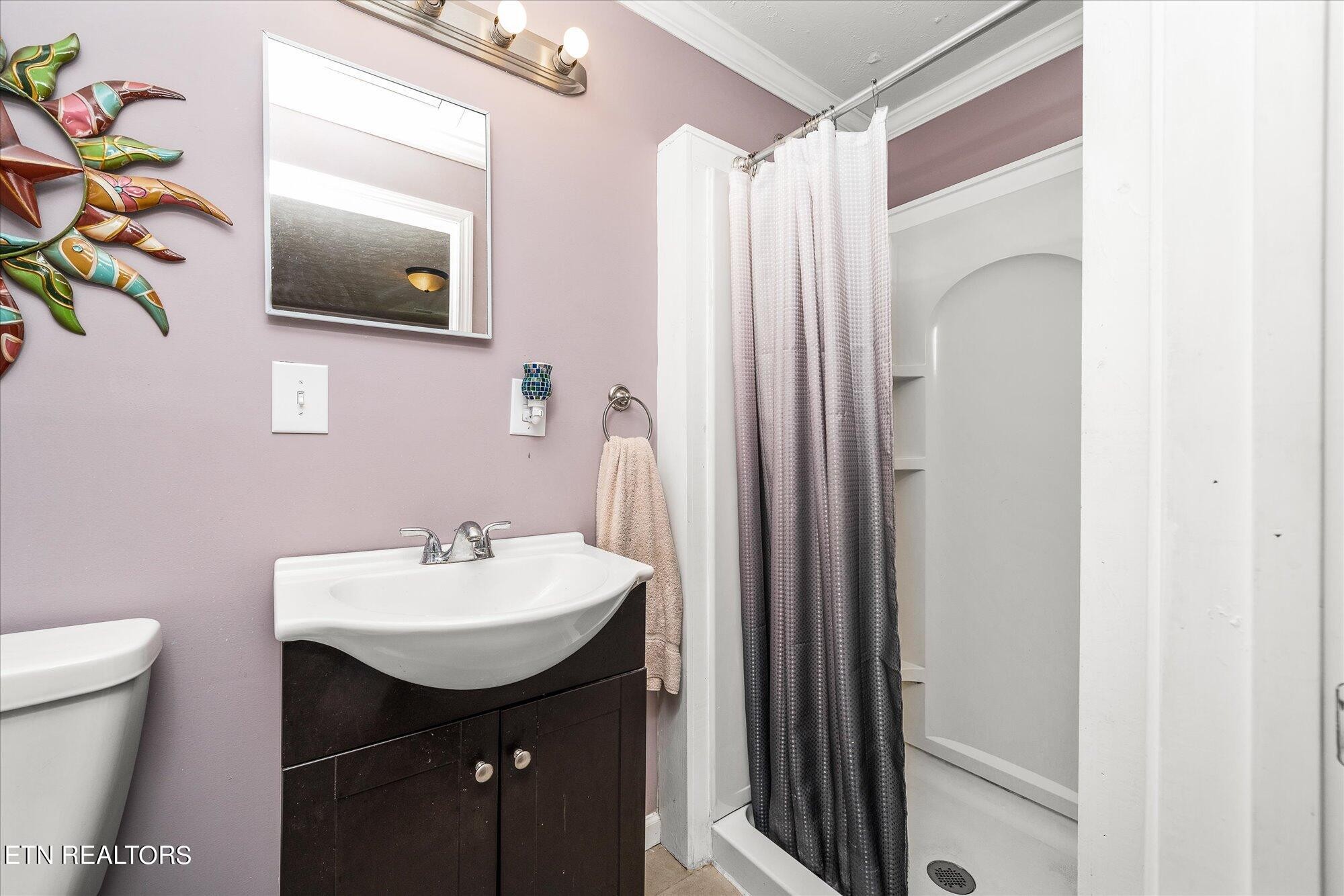 876 Shady Grove Road Lancing, TN 37770 - Photo 14 of 23 a bathroom with a sink a mirror and a toilet