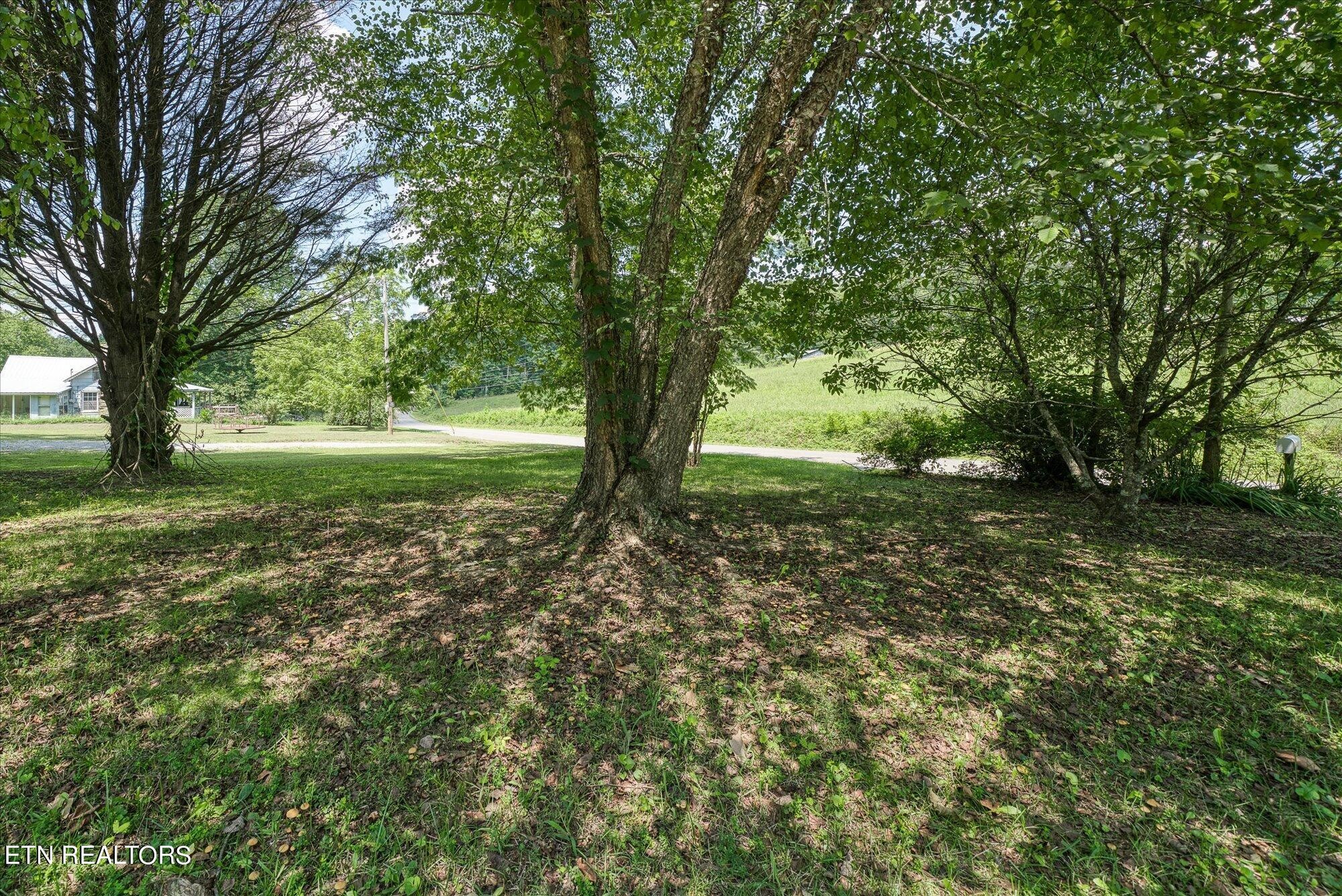 876 Shady Grove Road Lancing, TN 37770 - Photo 21 of 23 a view of outdoor space with deck and yard