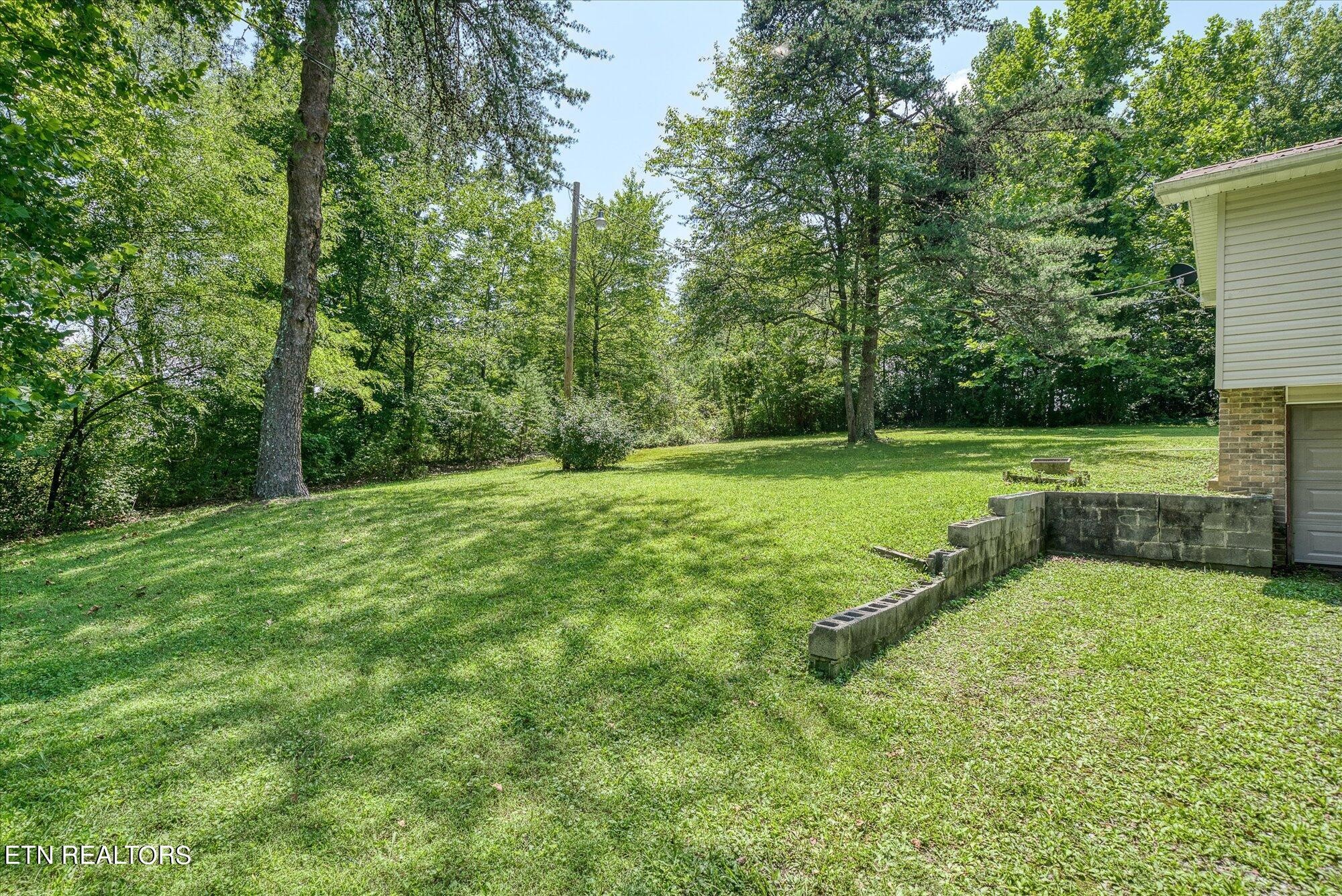 876 Shady Grove Road Lancing, TN 37770 - Photo 23 of 23 a view of a park with large trees