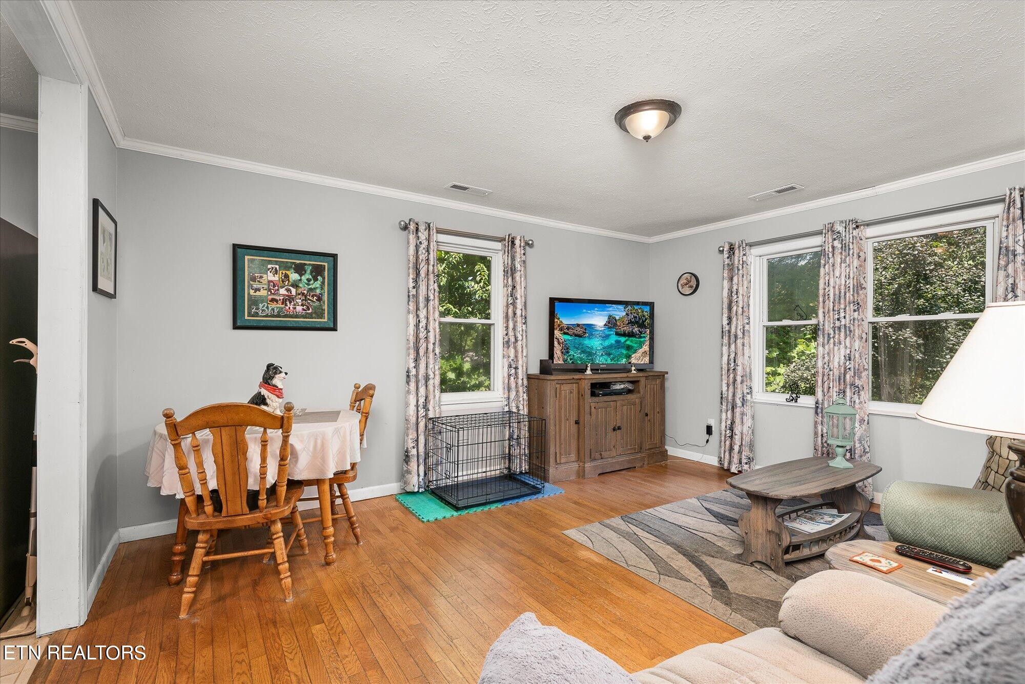 876 Shady Grove Road Lancing, TN 37770 - Photo 8 of 23 a living room with furniture and a window