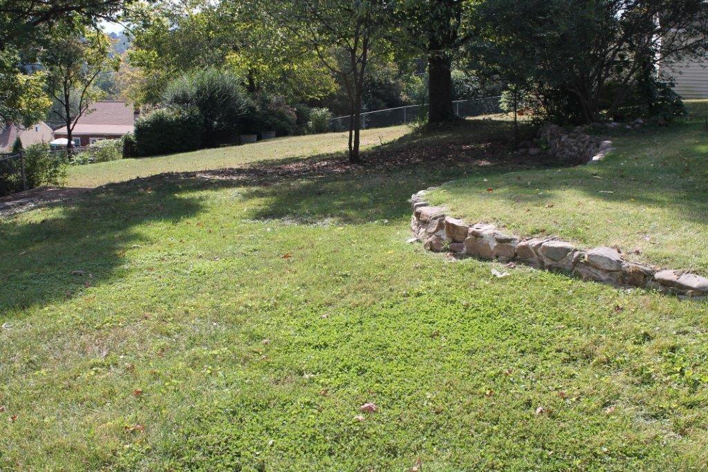 2509 Weaver Road Southwest Roanoke, VA 24015 - Photo 24 of 36 Backyard