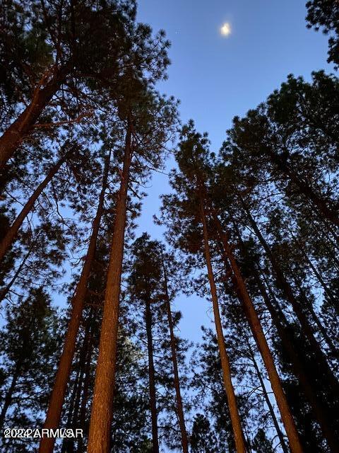8175 Wild Horse Road Pinetop, AZ 85935 - Photo 32 of 33 32