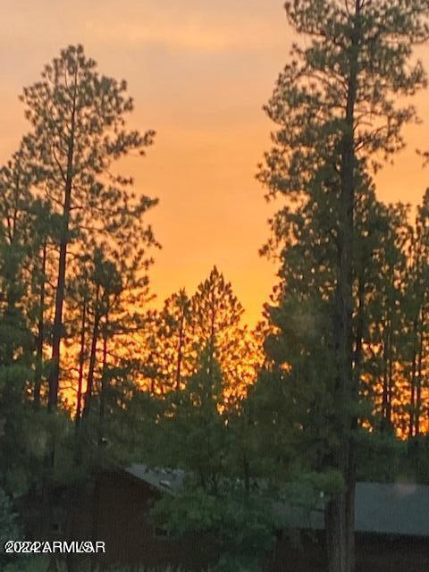 8175 Wild Horse Road Pinetop, AZ 85935 - Photo 33 of 33 33