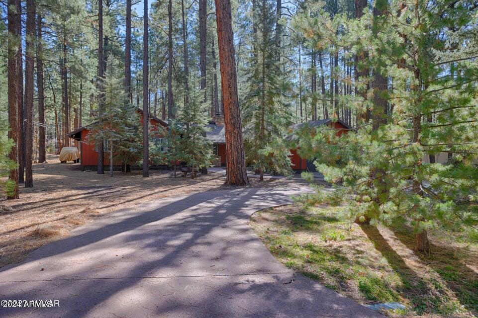 8175 Wild Horse Road Pinetop, AZ 85935 - Photo 4 of 33 4